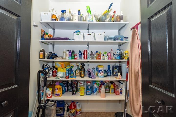 7729 Kingsley Drive, Onsted, MI, 49265