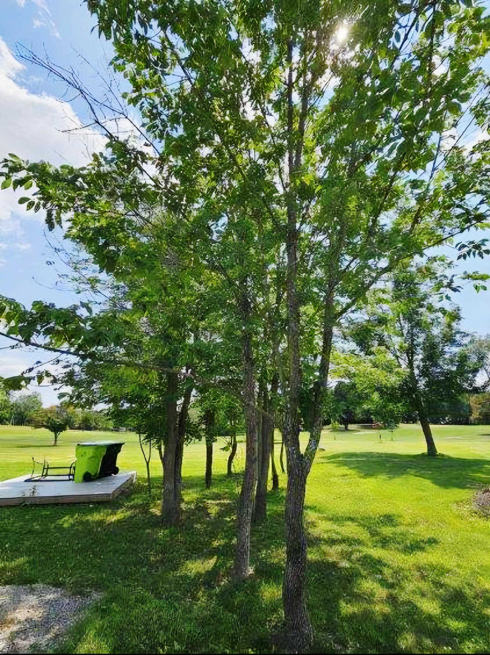 1829 Linksview Way, Gladwin, MI, 48624