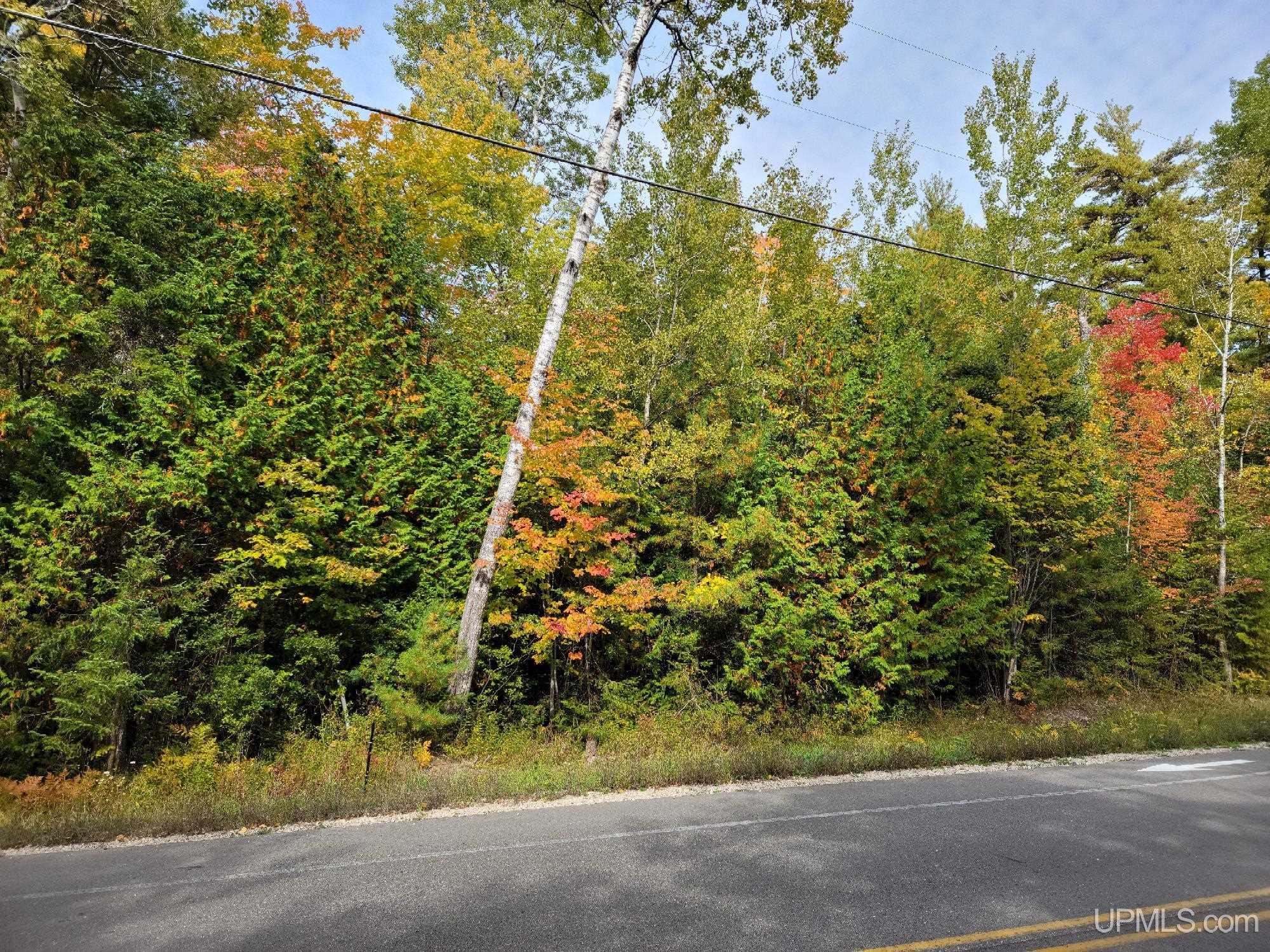 TBD Co Rd 441 Road, Manistique, MI, 49854