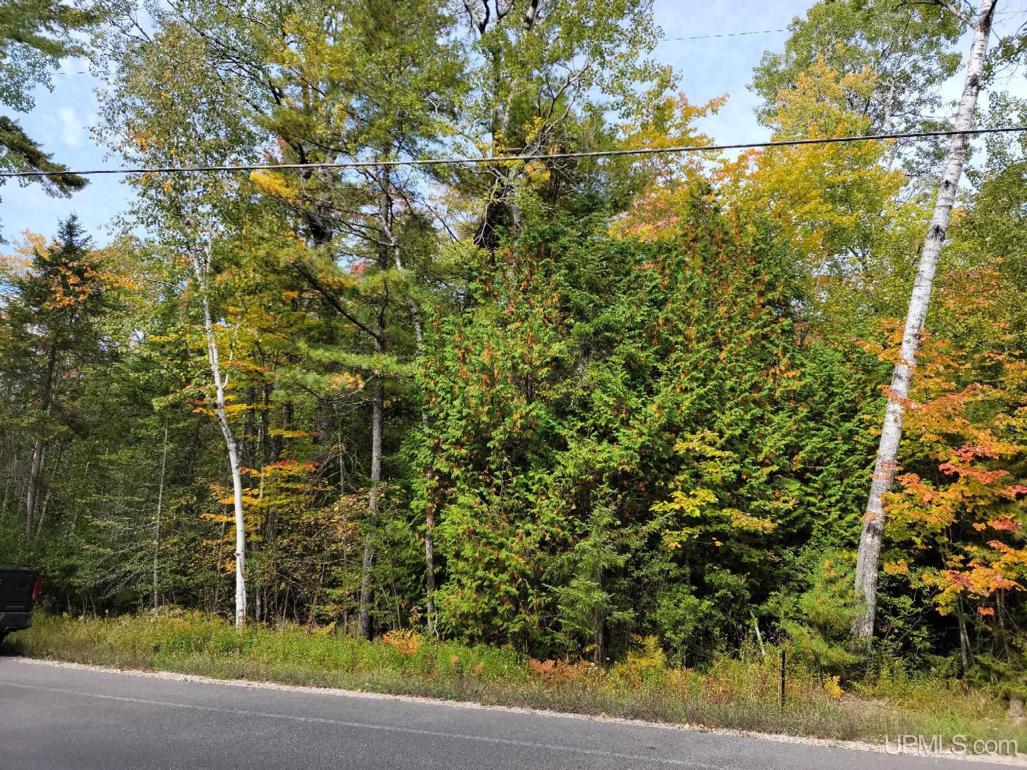 TBD Co Rd 441 Road, Manistique, MI, 49854