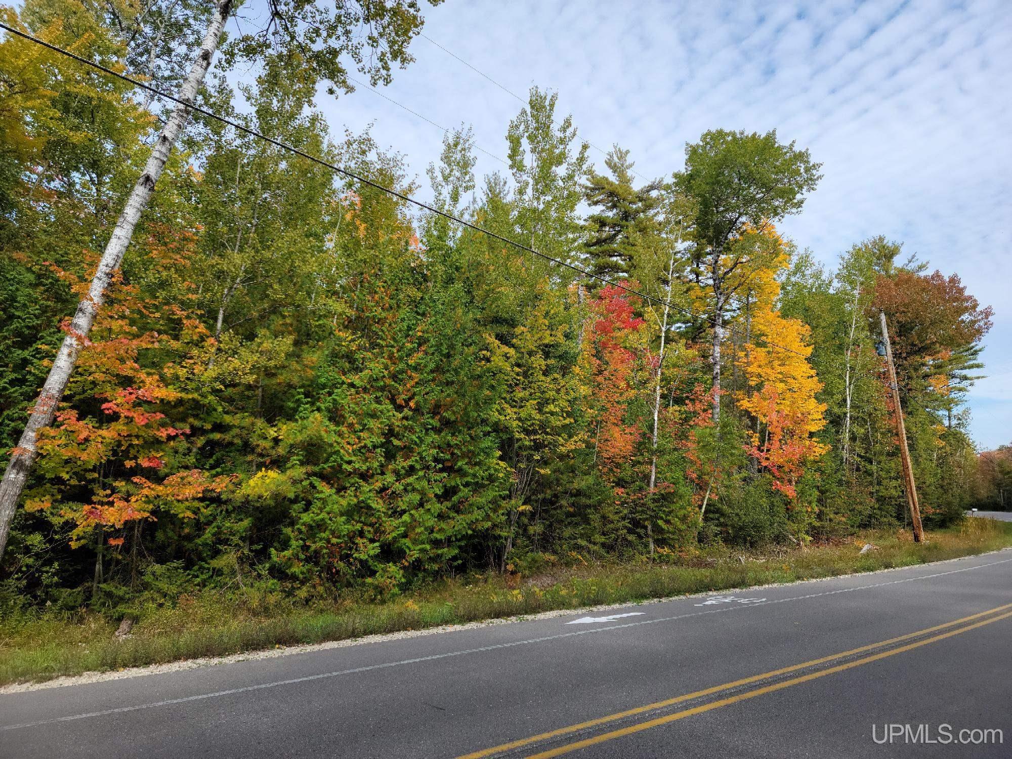 TBD Co Rd 441 Road, Manistique, MI, 49854