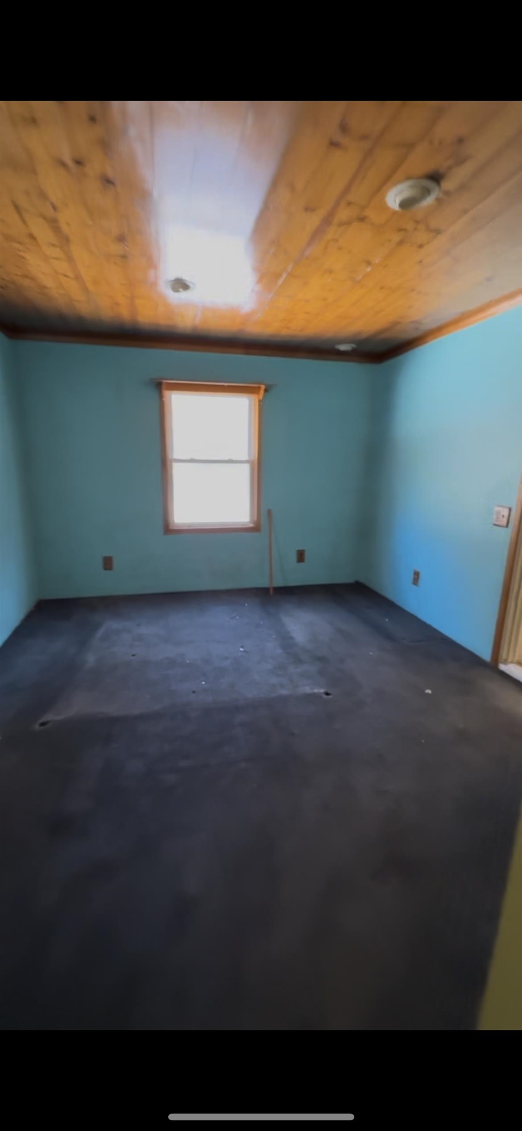 15th image of 881 E Kittle Rd, Mio, MI 48647 | MLS# 50202800