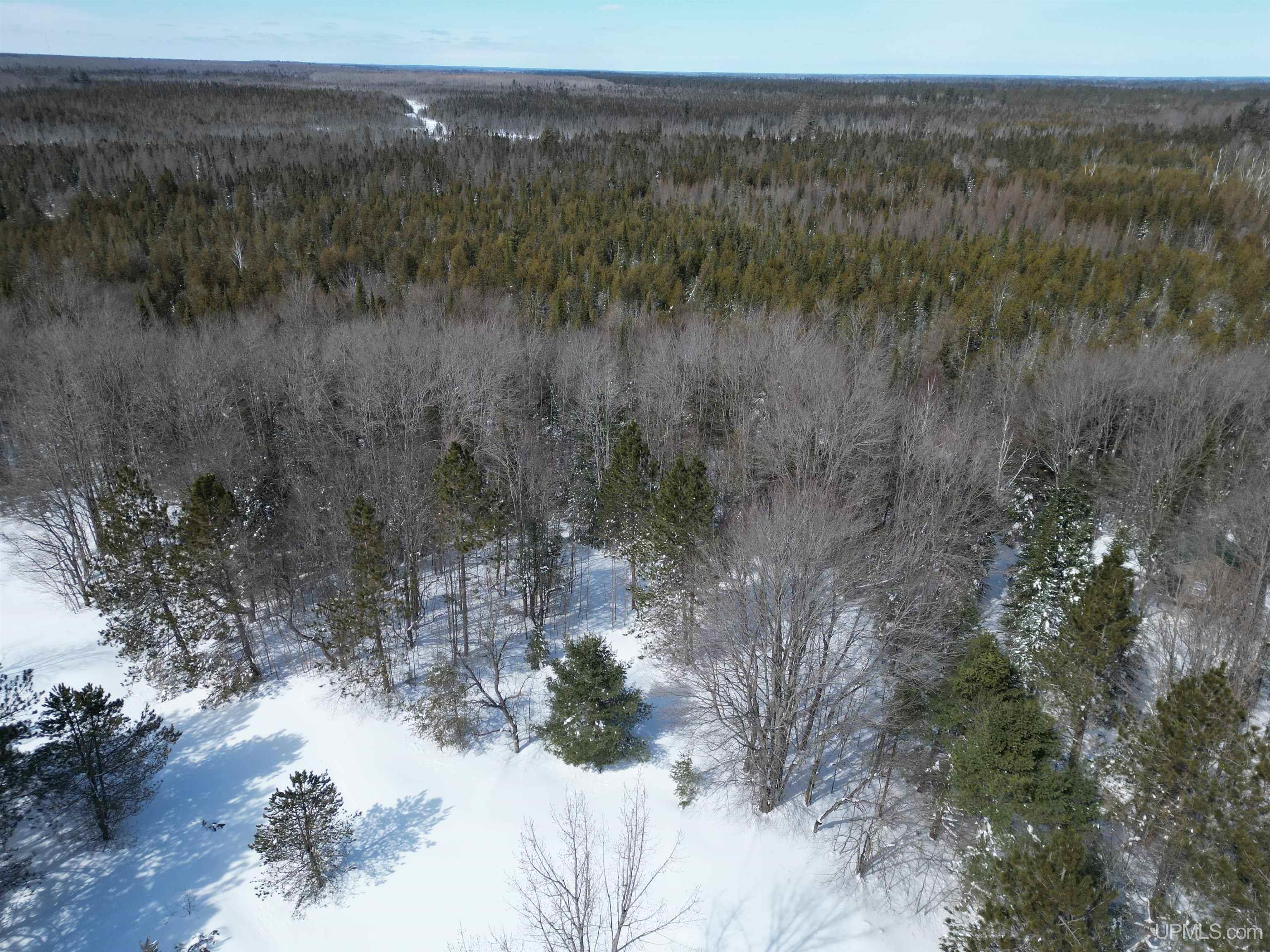 TBD W Smith Lake Road, Manistique, MI, 49854