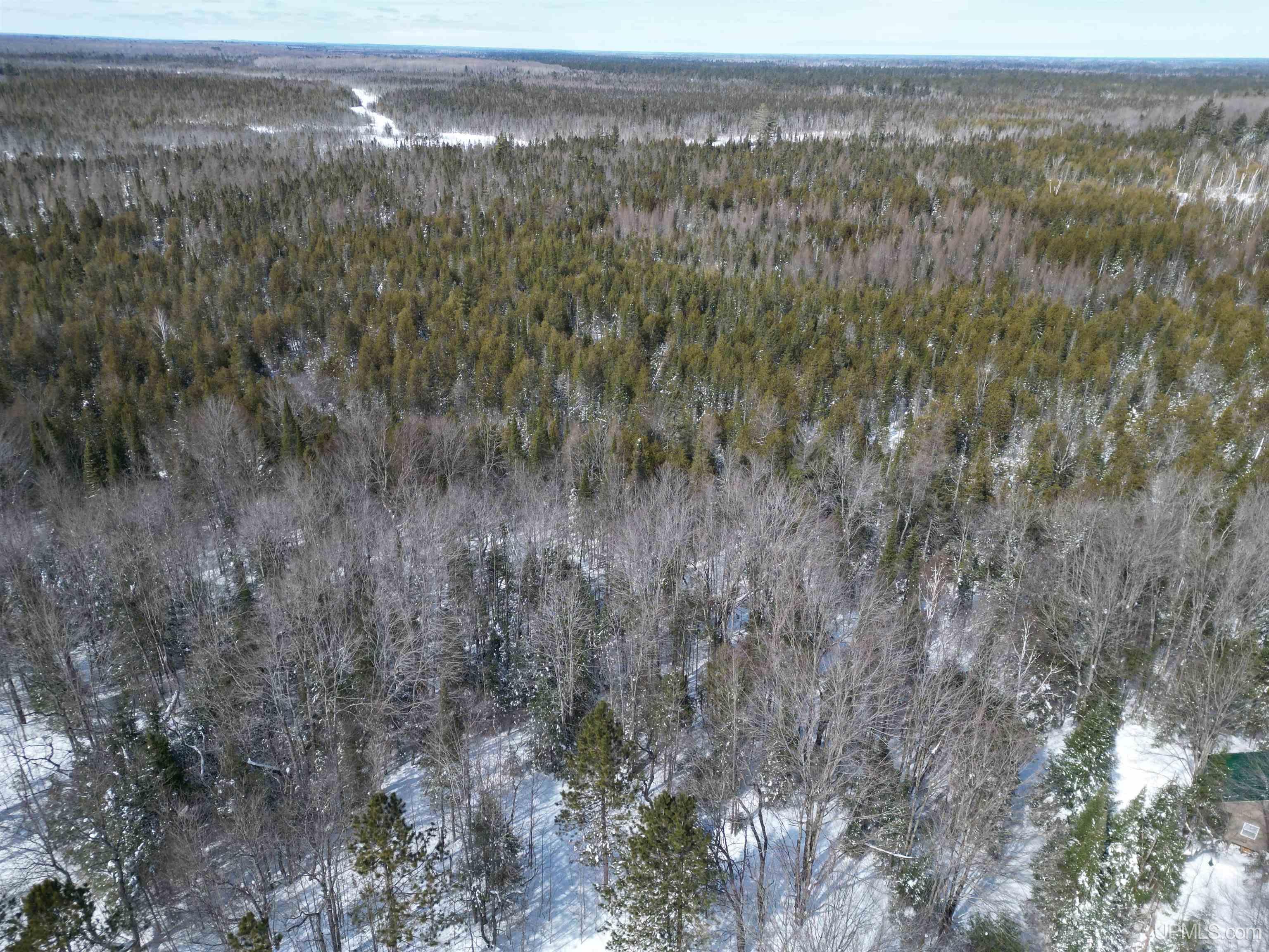 TBD W Smith Lake Road, Manistique, MI, 49854