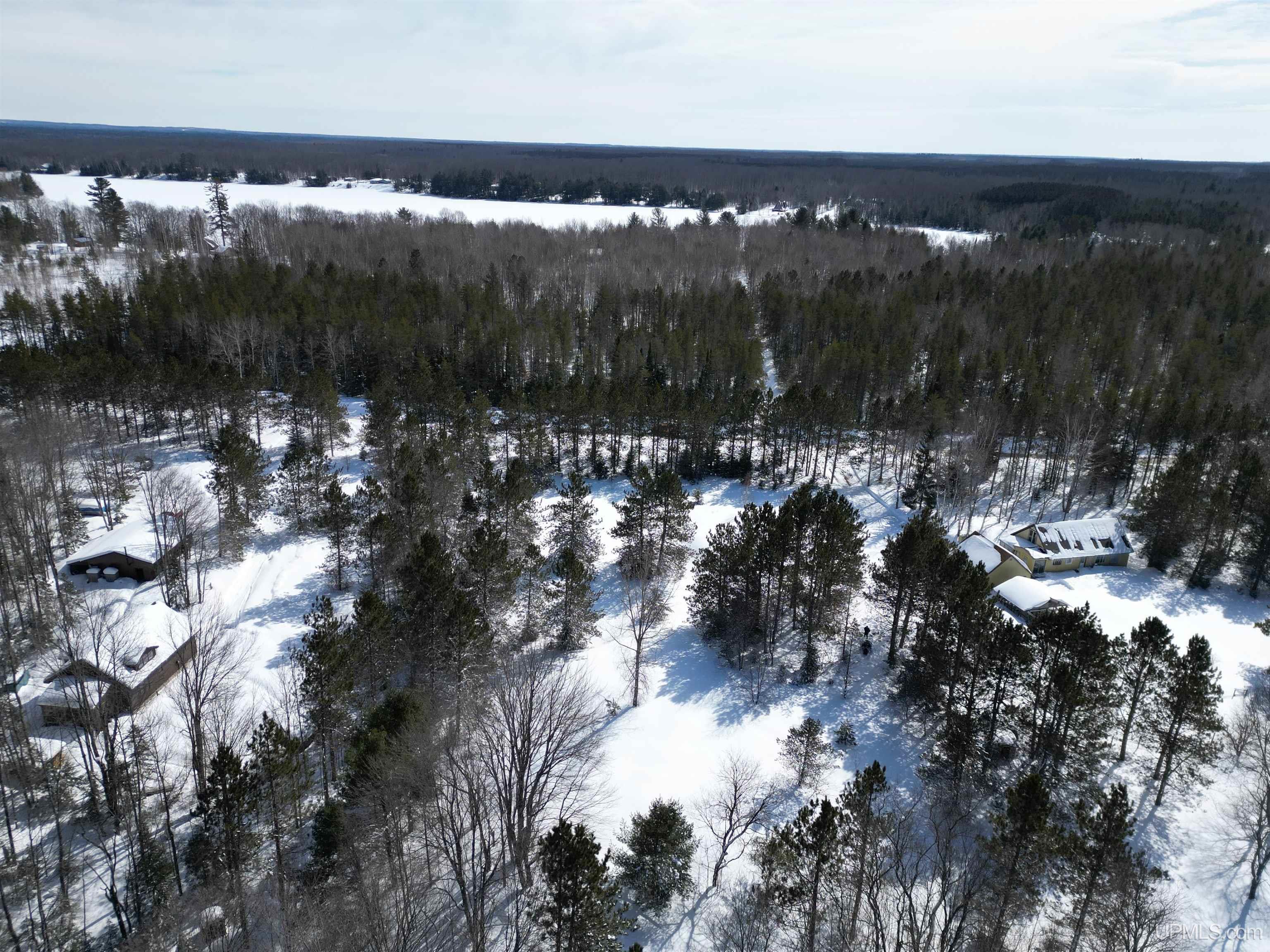 TBD W Smith Lake Road, Manistique, MI, 49854
