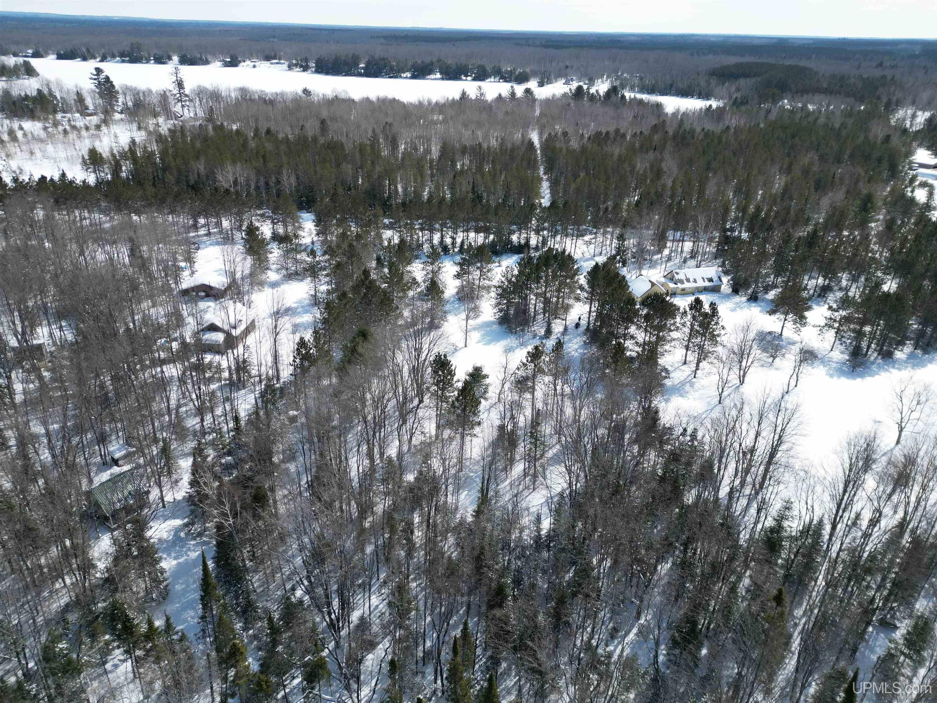 TBD W Smith Lake Road, Manistique, MI, 49854