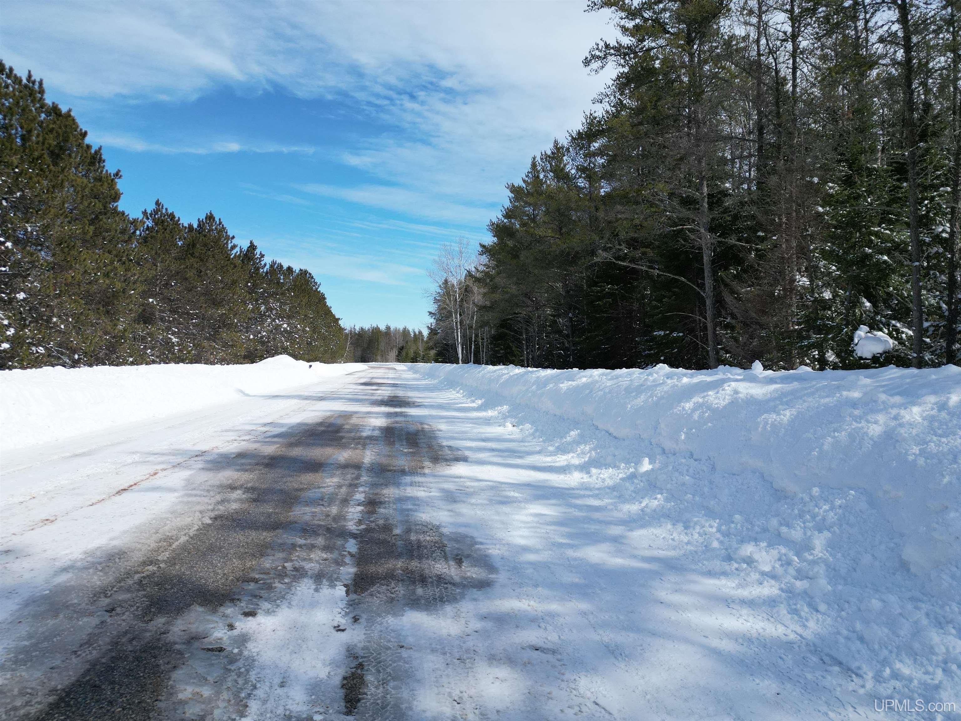 TBD W Smith Lake Road, Manistique, MI, 49854