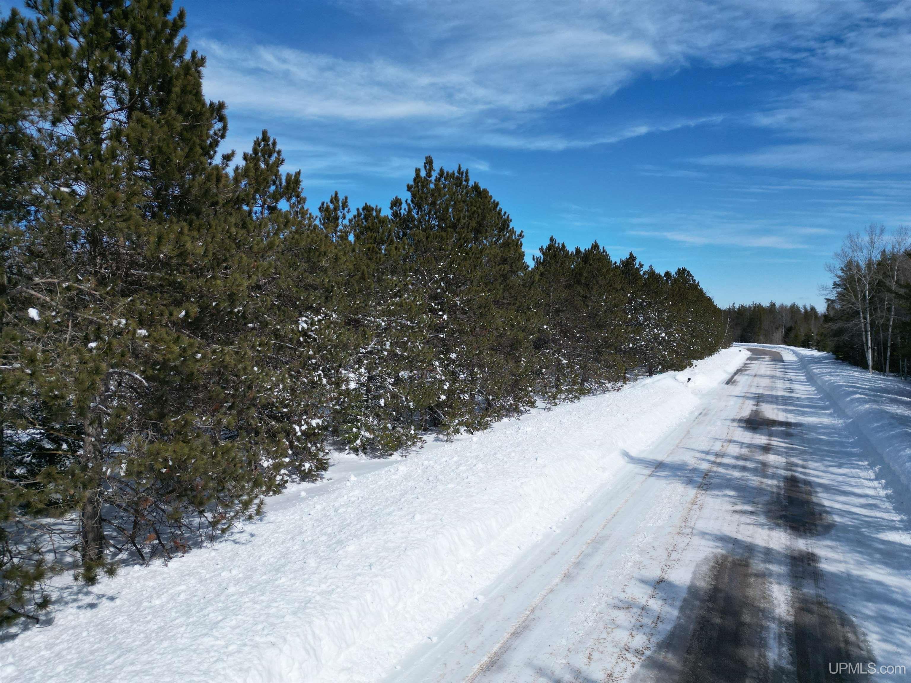 TBD W Smith Lake Road, Manistique, MI, 49854