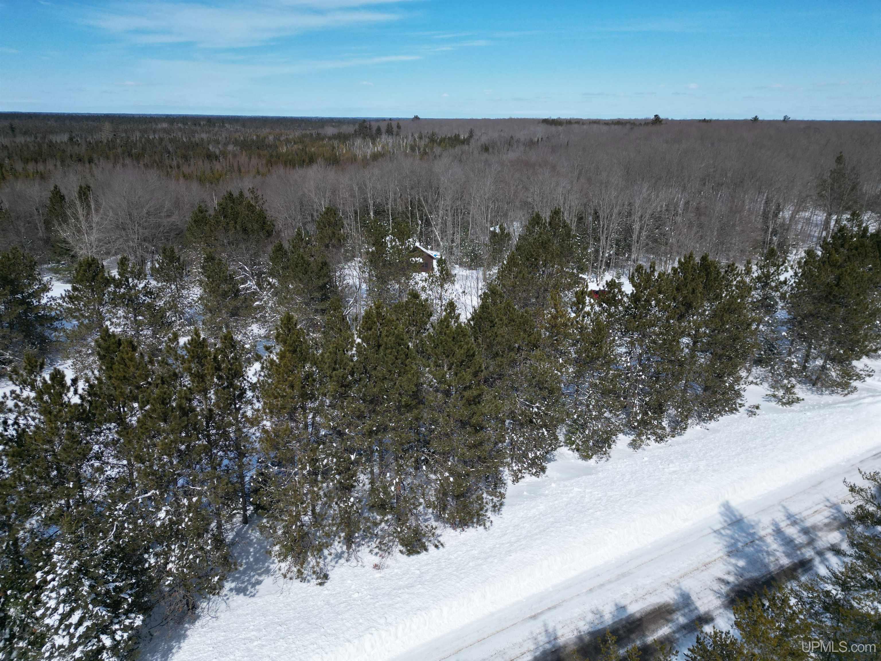 TBD W Smith Lake Road, Manistique, MI, 49854