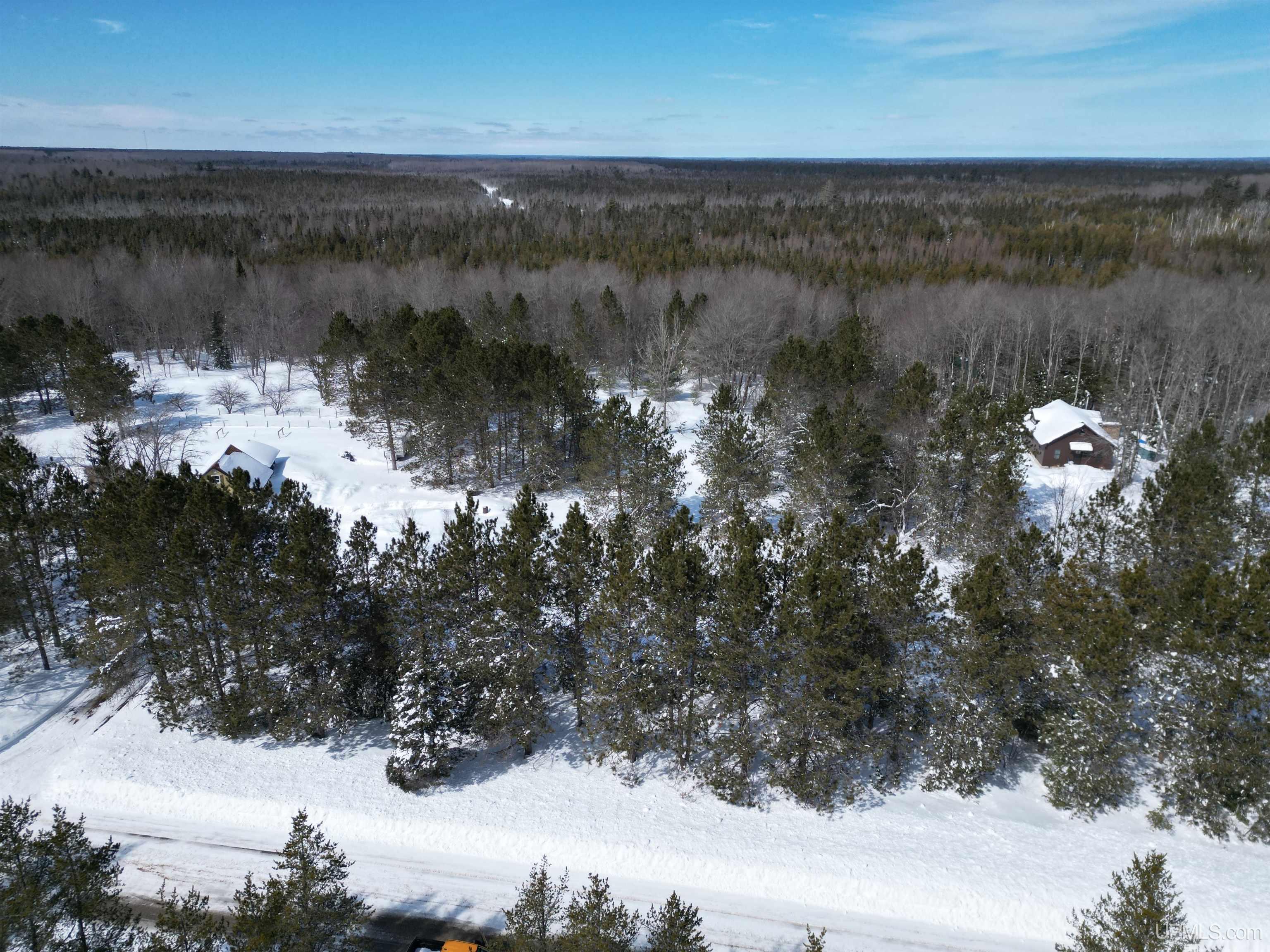 TBD W Smith Lake Road, Manistique, MI, 49854
