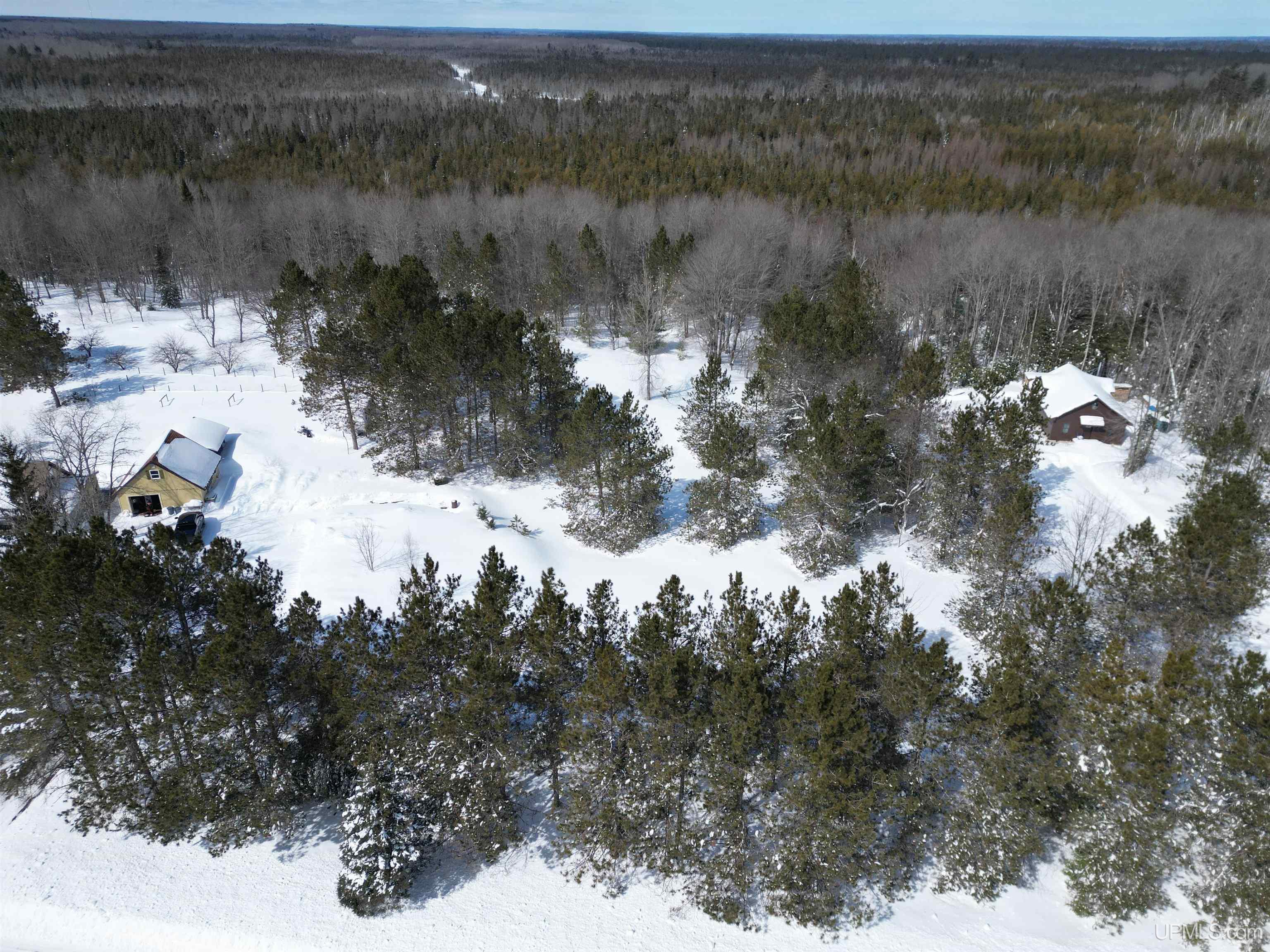 TBD W Smith Lake Road, Manistique, MI, 49854