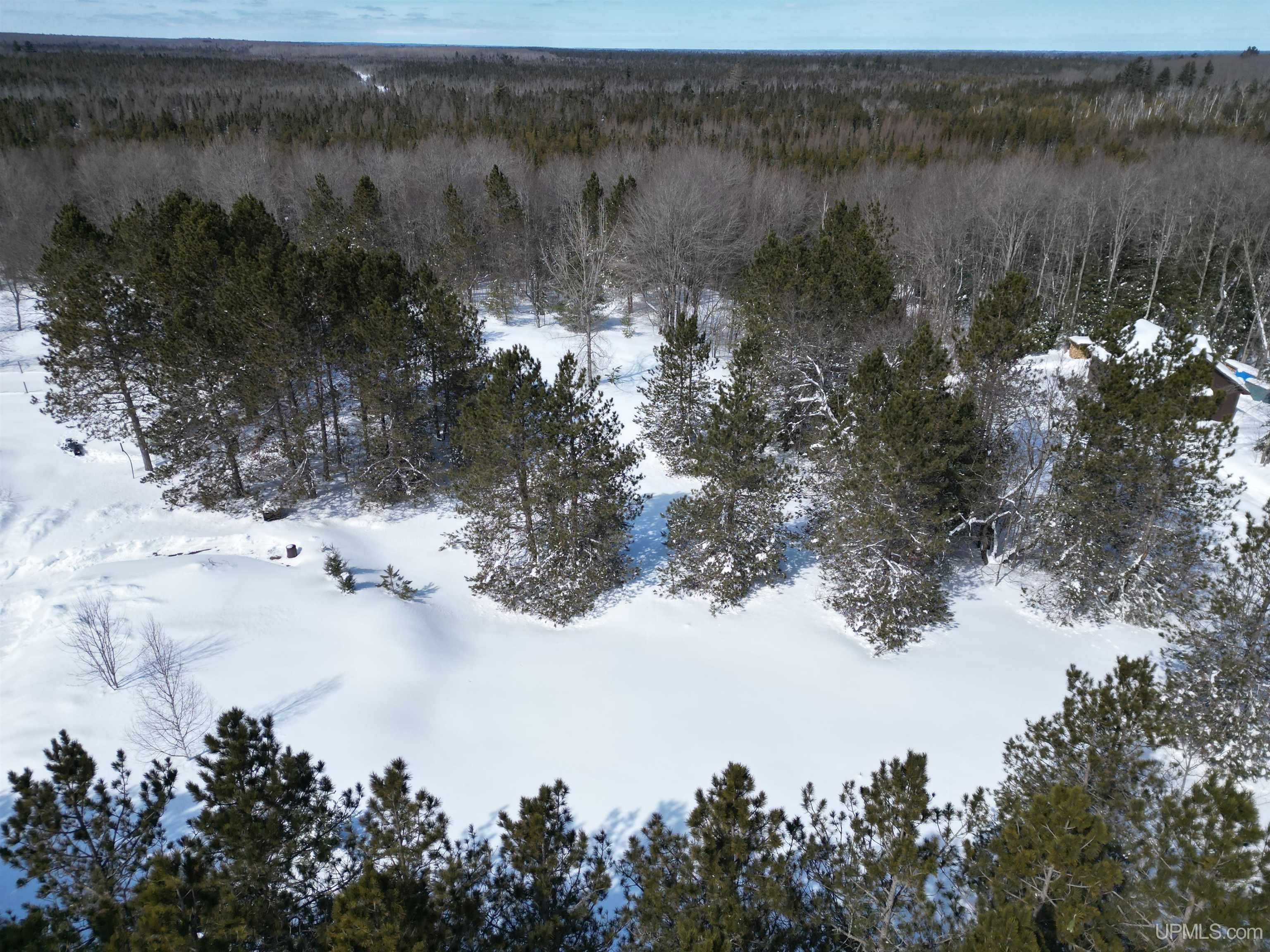 TBD W Smith Lake Road, Manistique, MI, 49854