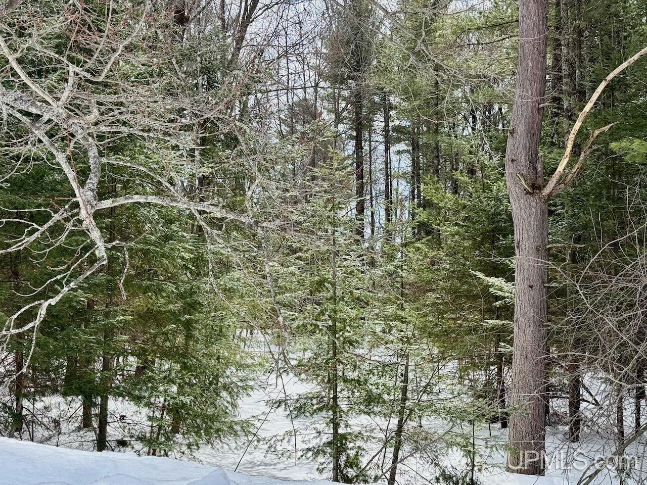 1071 & 1075 Highland Drive, Ishpeming, MI, 49849