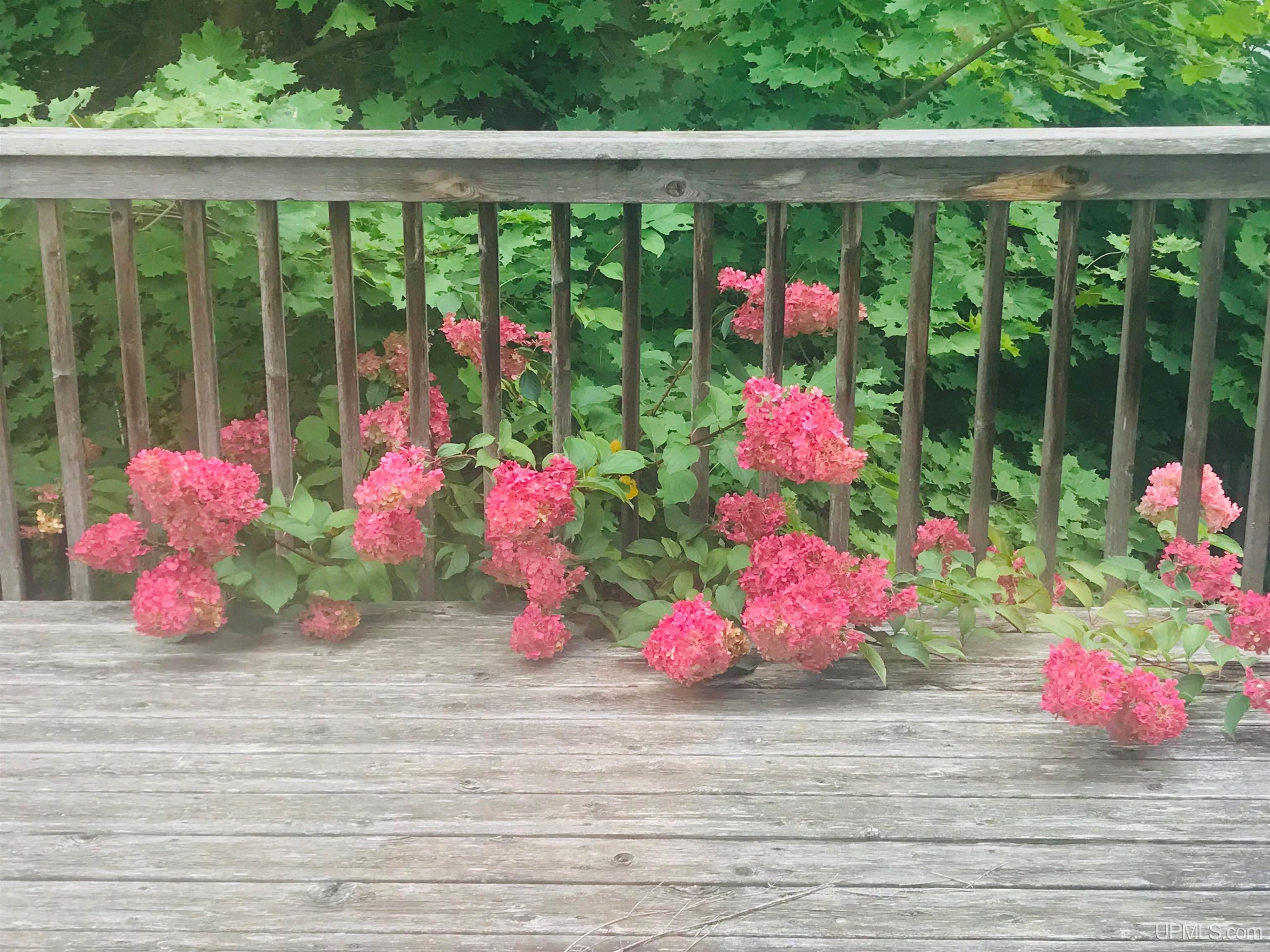 305 Emerald Street, Houghton, MI, 49931