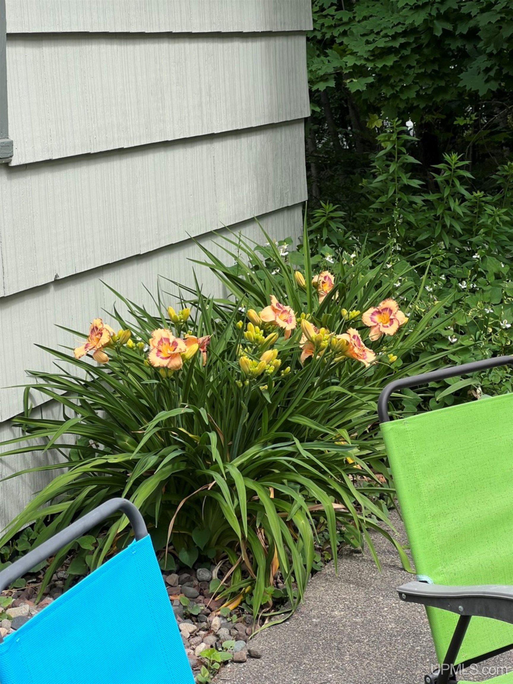 305 Emerald Street, Houghton, MI, 49931