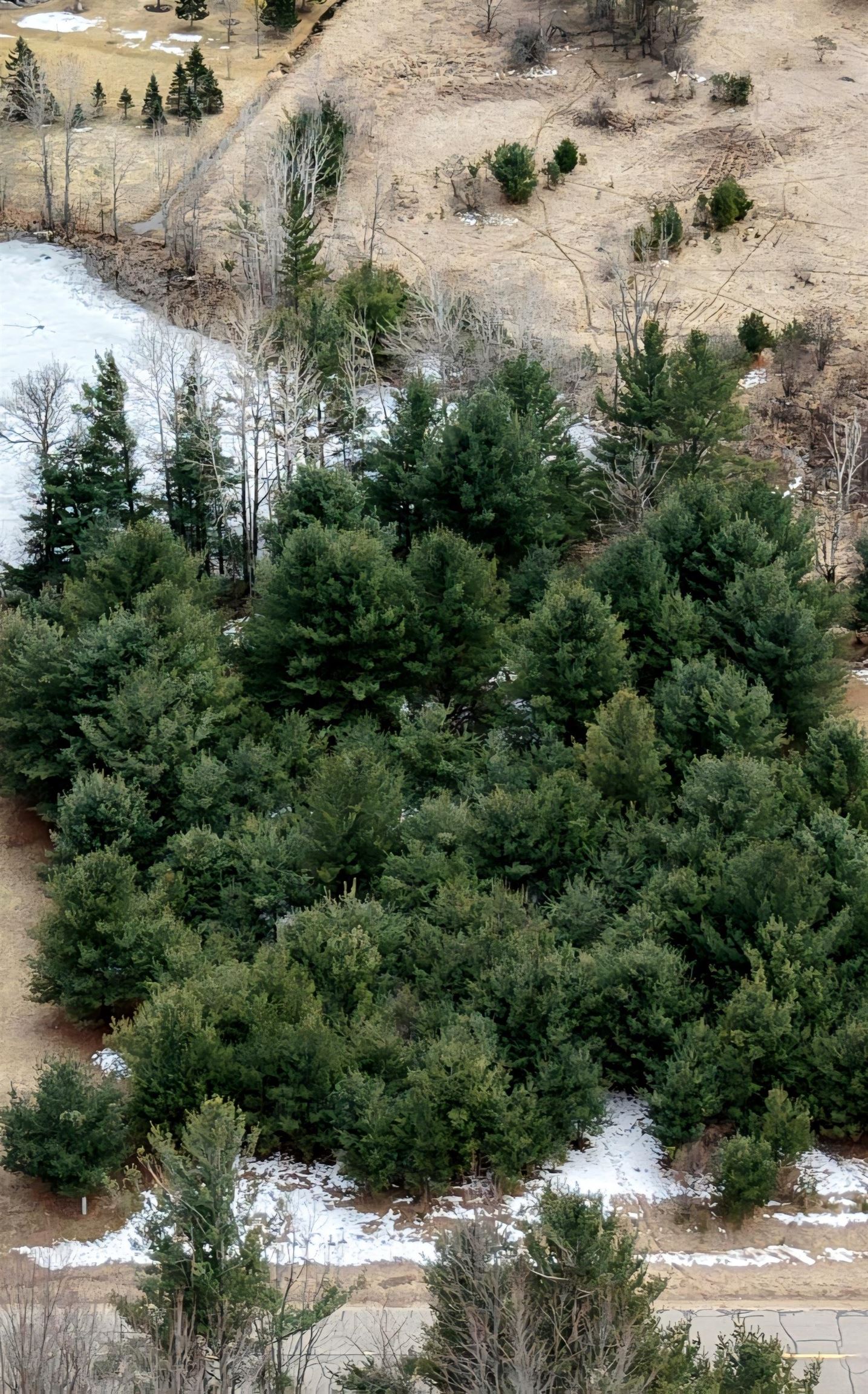 Lot 20 Queens Way, Gladwin, MI, 48624