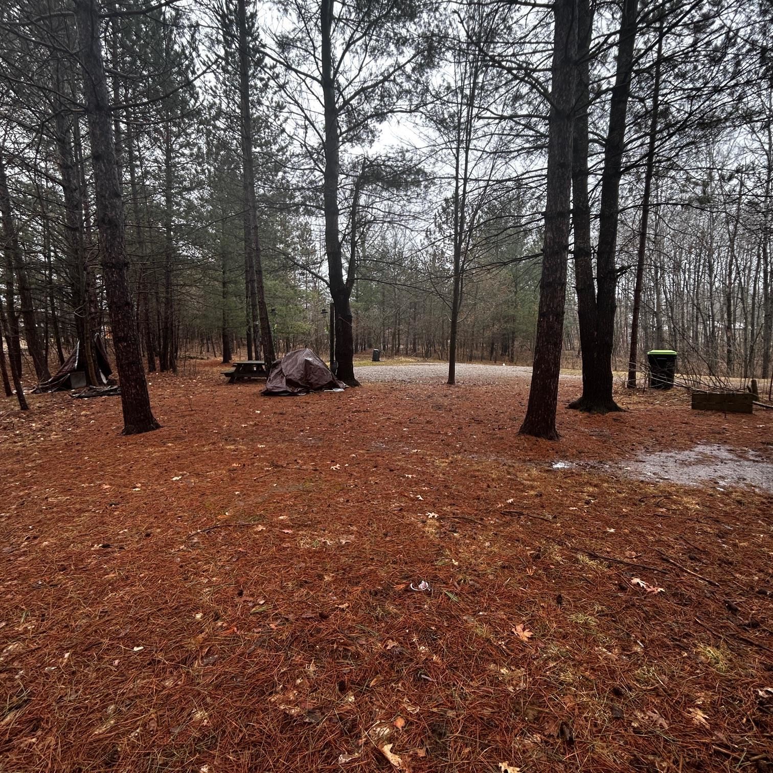 5316 Archers Way, Gladwin, MI, 48624