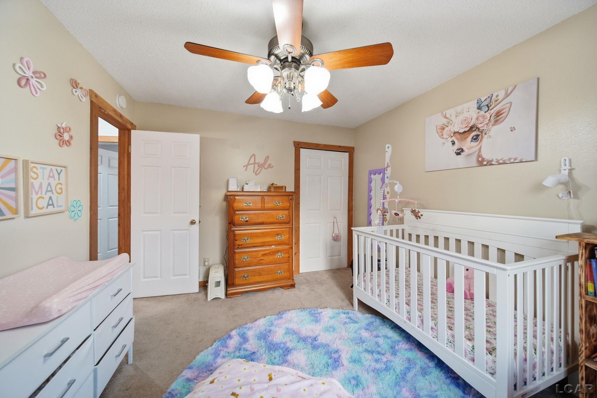 10579 Emerald Drive, Cement City, MI, 49233