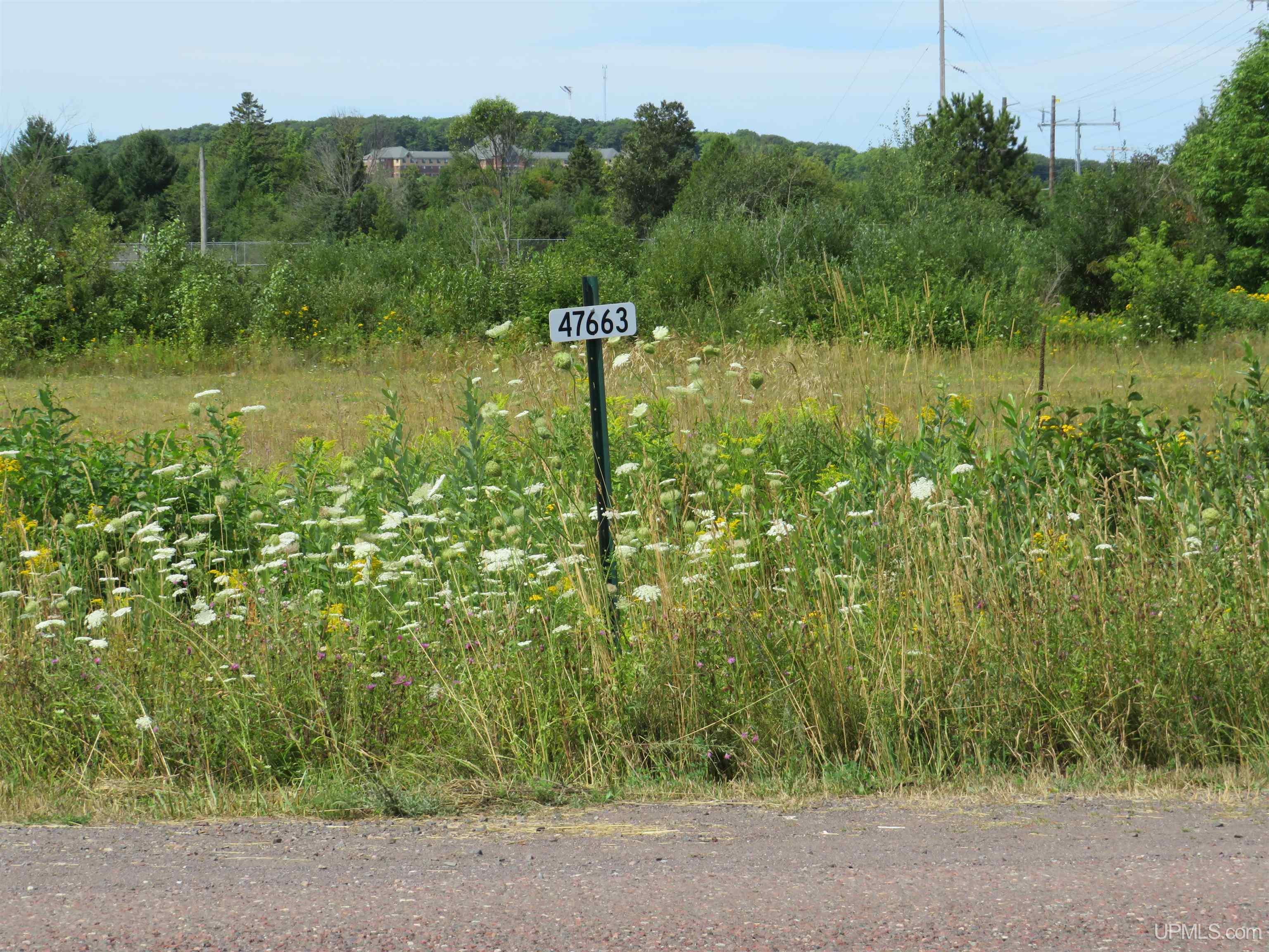 MLS 50202988 Large photo number 24 