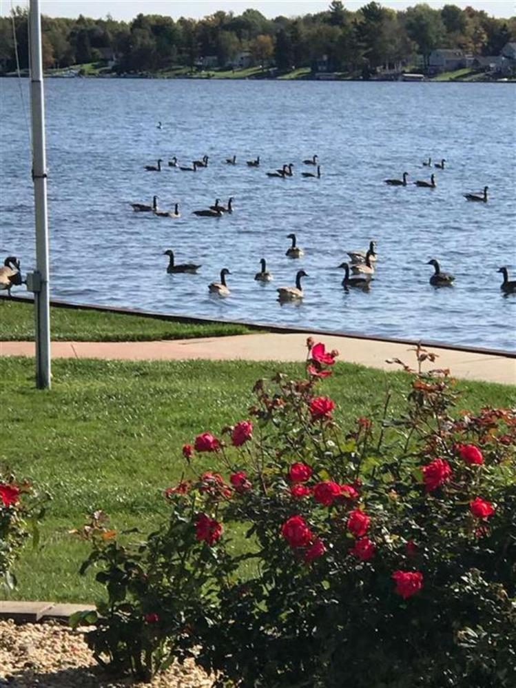 5323 S Pine Street, Beaverton, MI, 48612