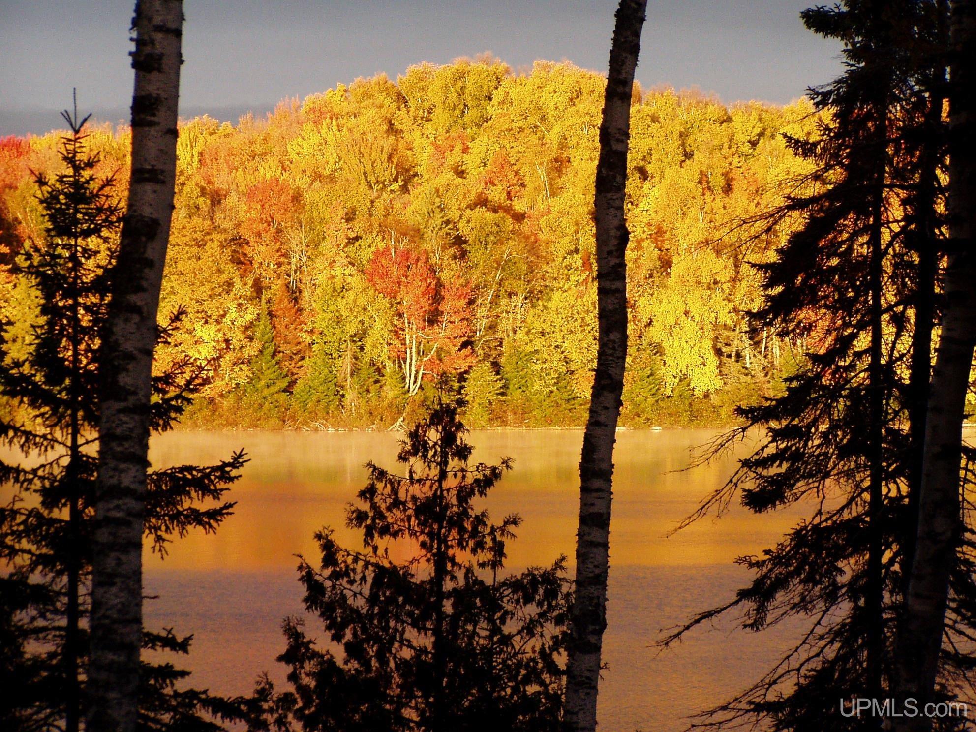 MLS 50203034 Large photo number 54 