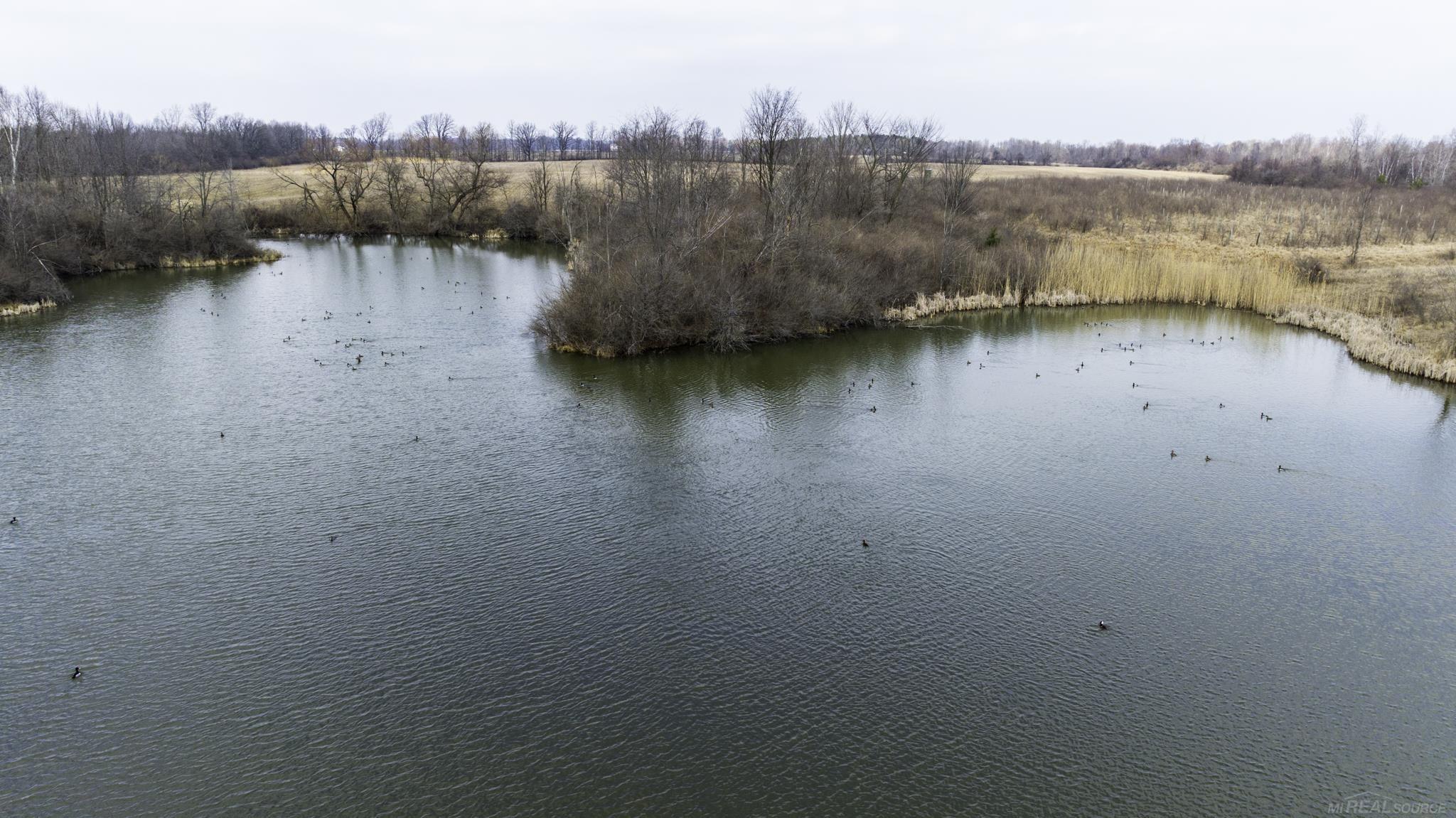 6471 Burns Line Road, Lexington, MI, 48450