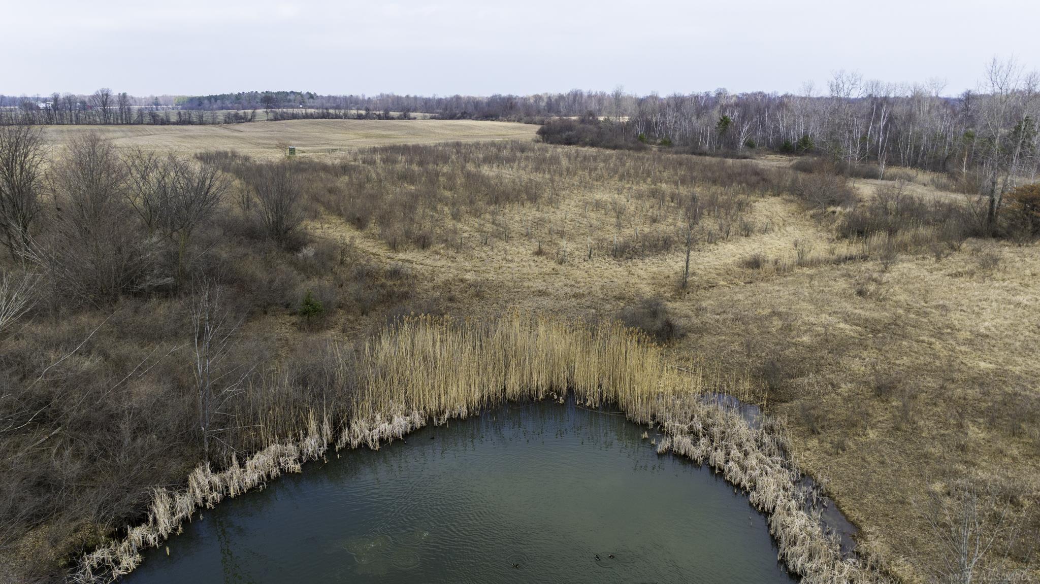 6471 Burns Line Road, Lexington, MI, 48450