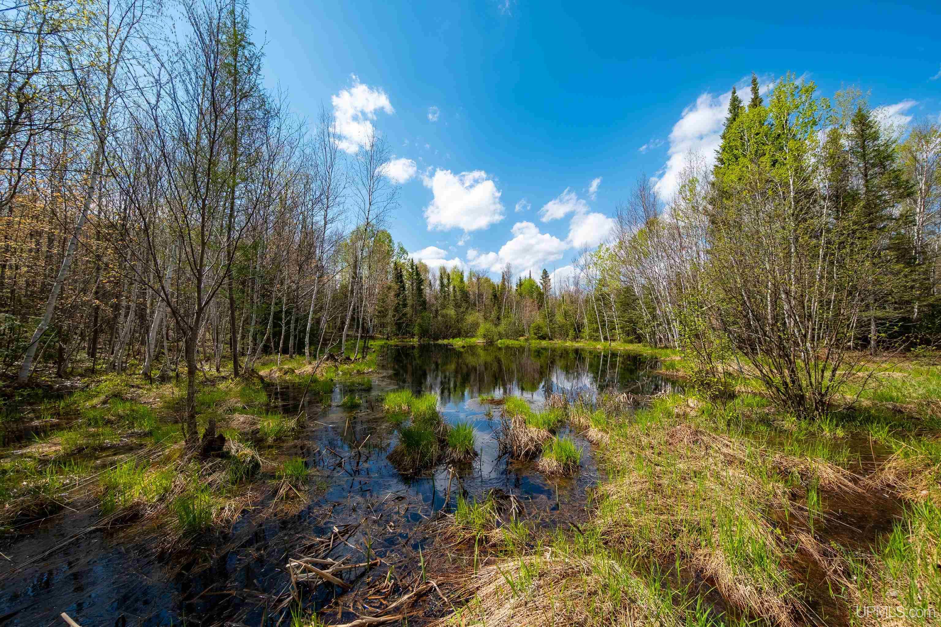 MLS 50203140 Large photo number 51 