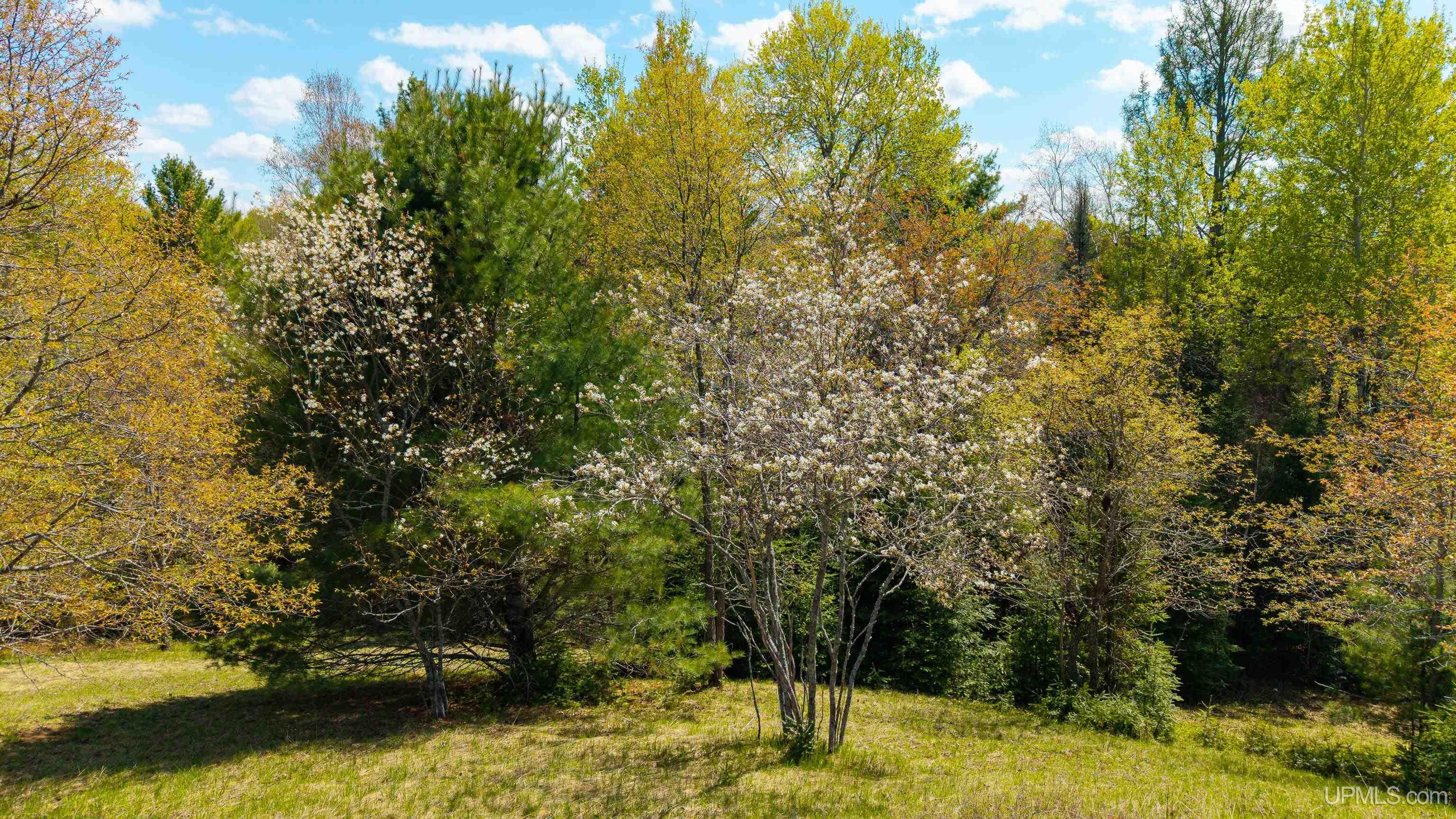 MLS 50203140 Large photo number 59 