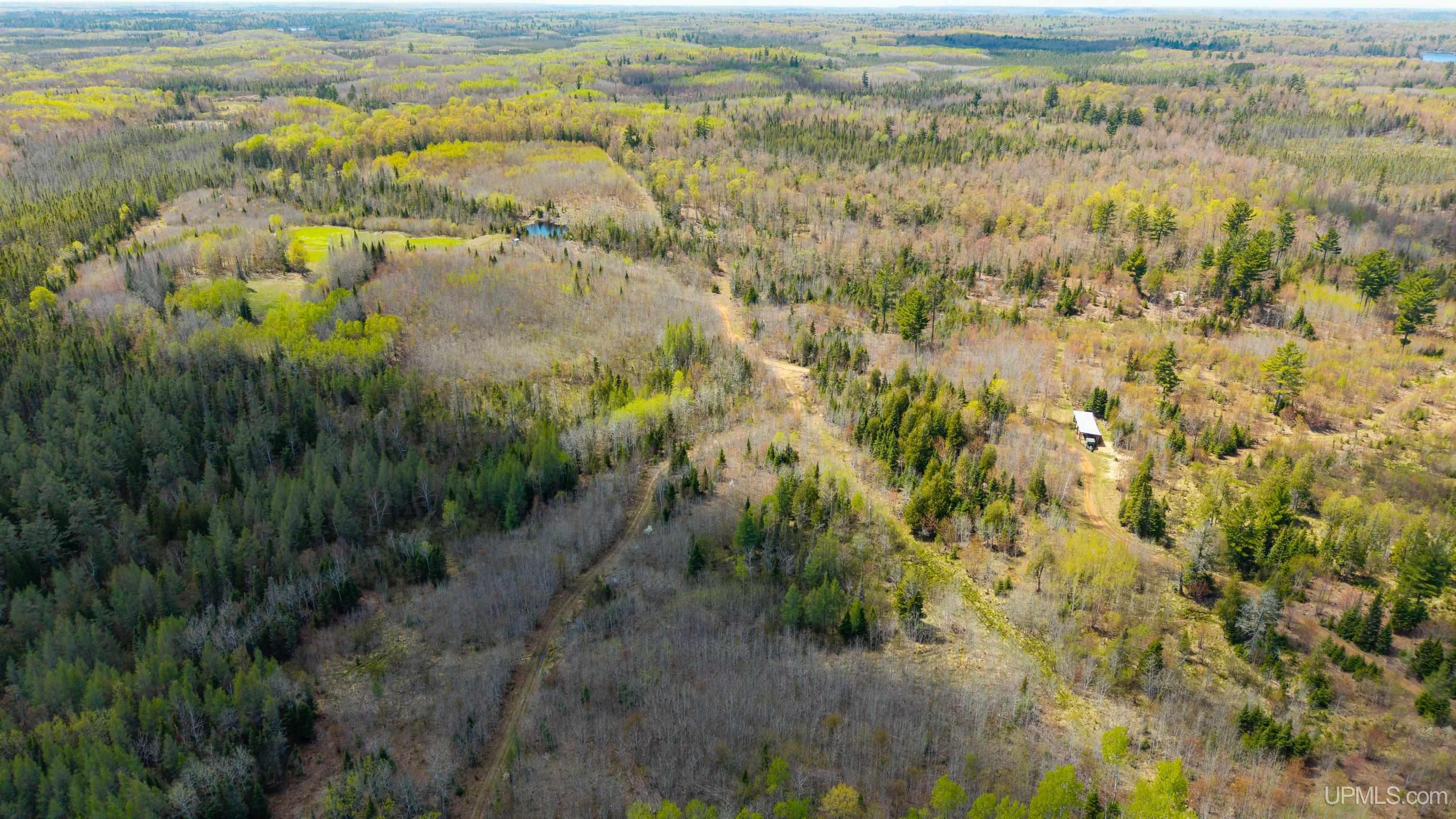 MLS 50203140 Large photo number 64 