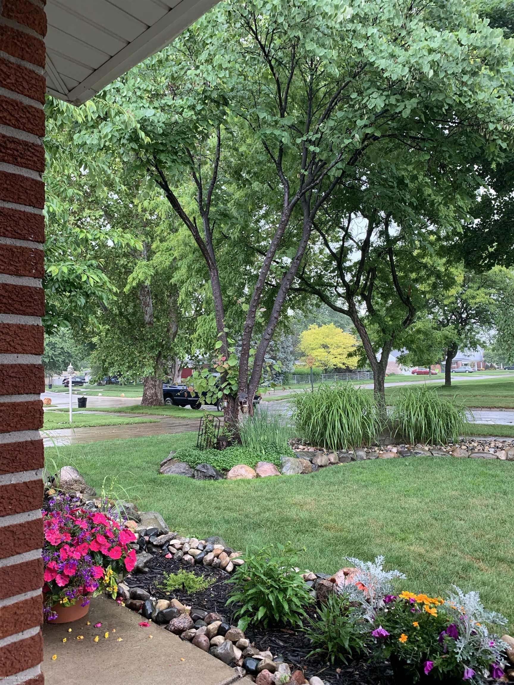 MLS #58050203155 image #1