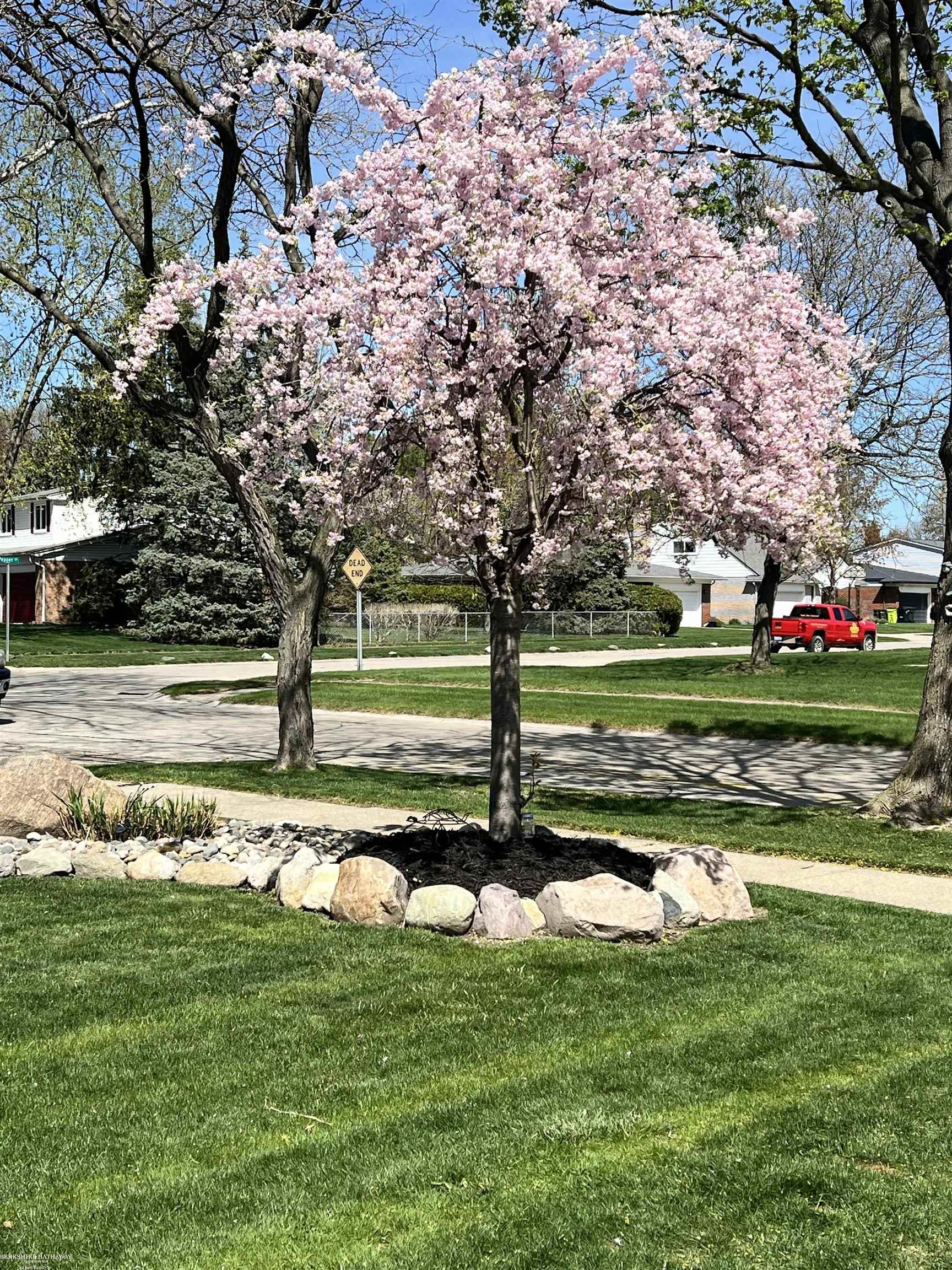 MLS #58050203155 image #2