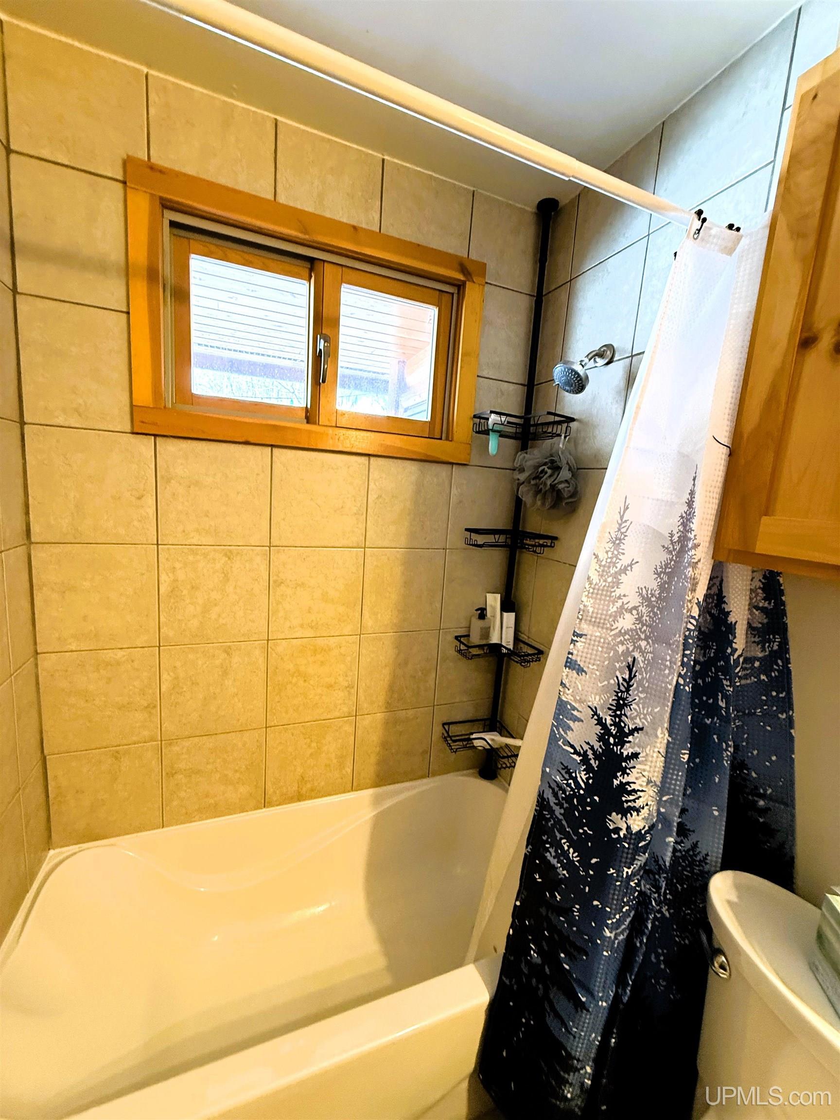 Highway, Marenisco, MI, 49947