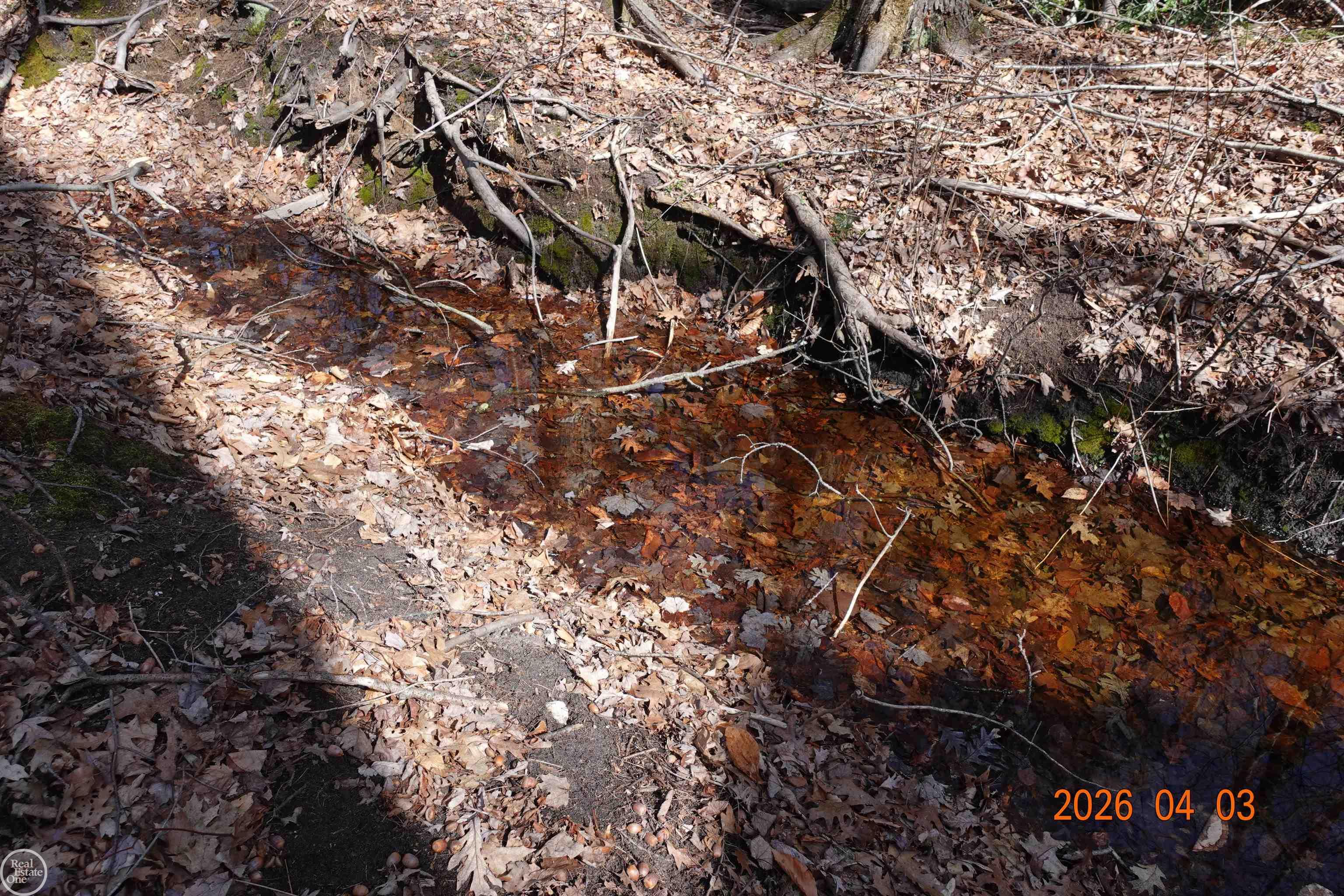 3780 Abbottsford Road, Clyde, MI, 48049