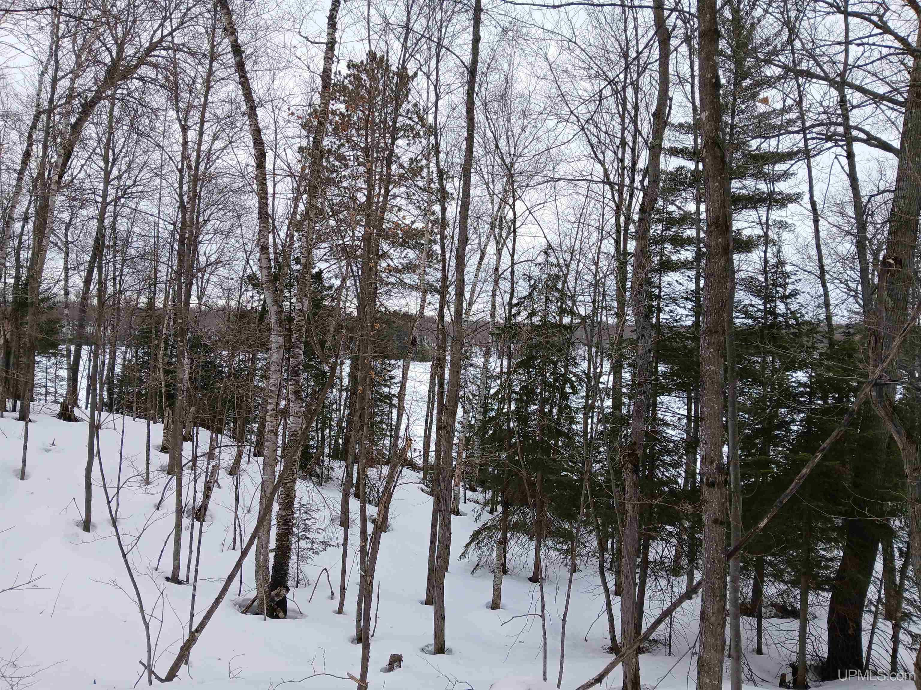 Lot 1 County Line Lake Crossroad, Watersmeet, MI, 49969