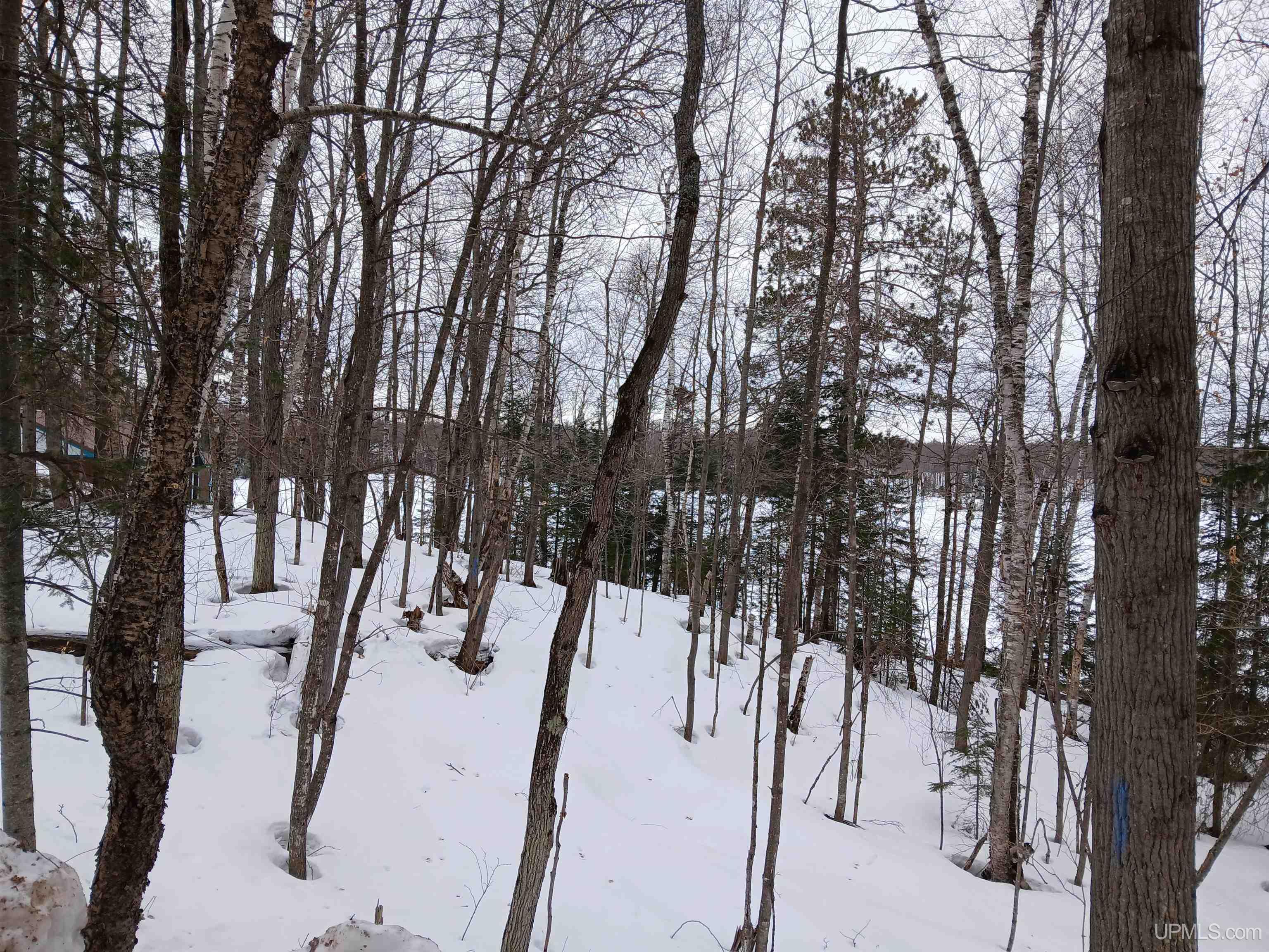 Lot 1 County Line Lake Crossroad, Watersmeet, MI, 49969