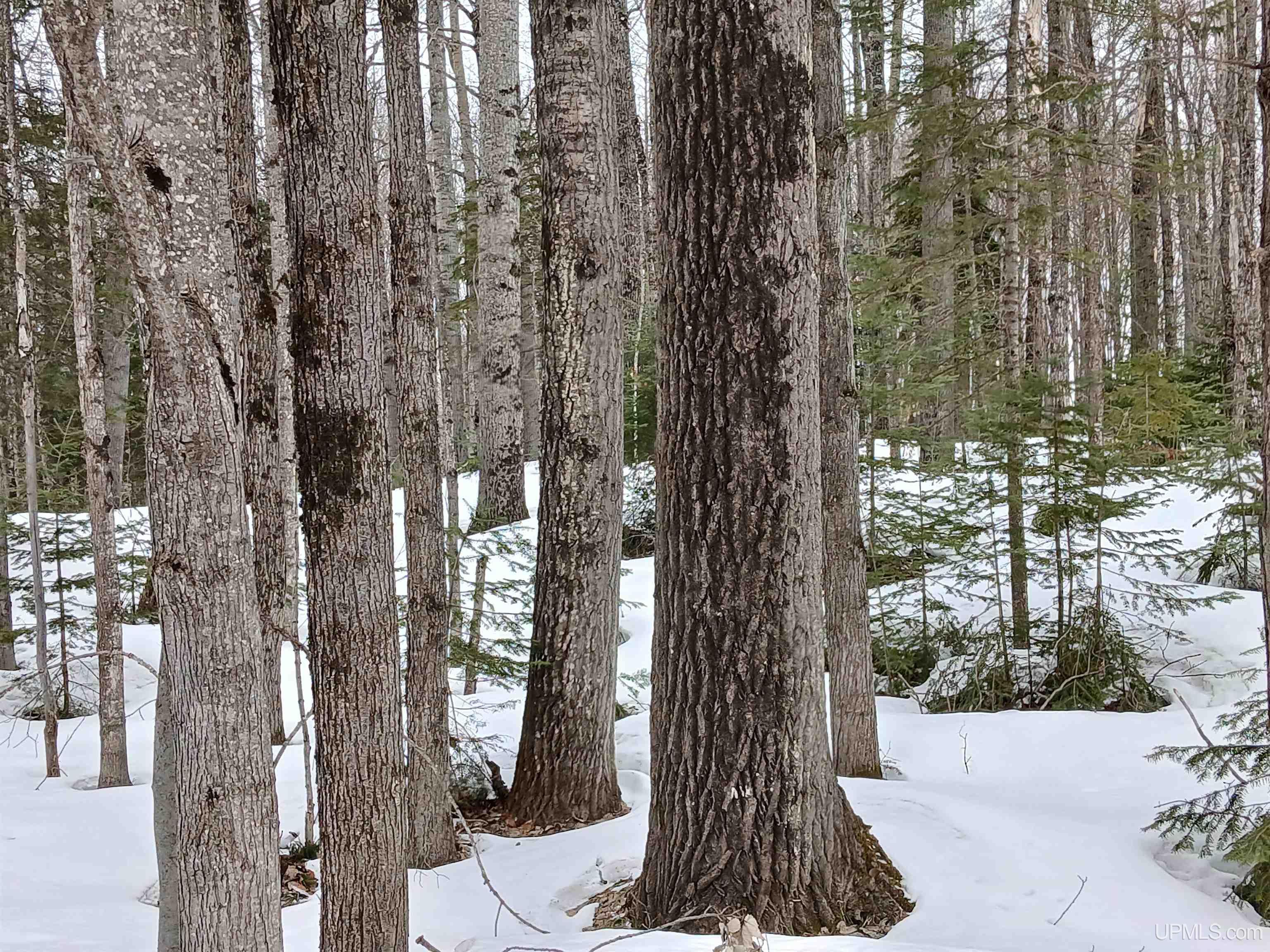 Lot 1 County Line Lake Crossroad, Watersmeet, MI, 49969