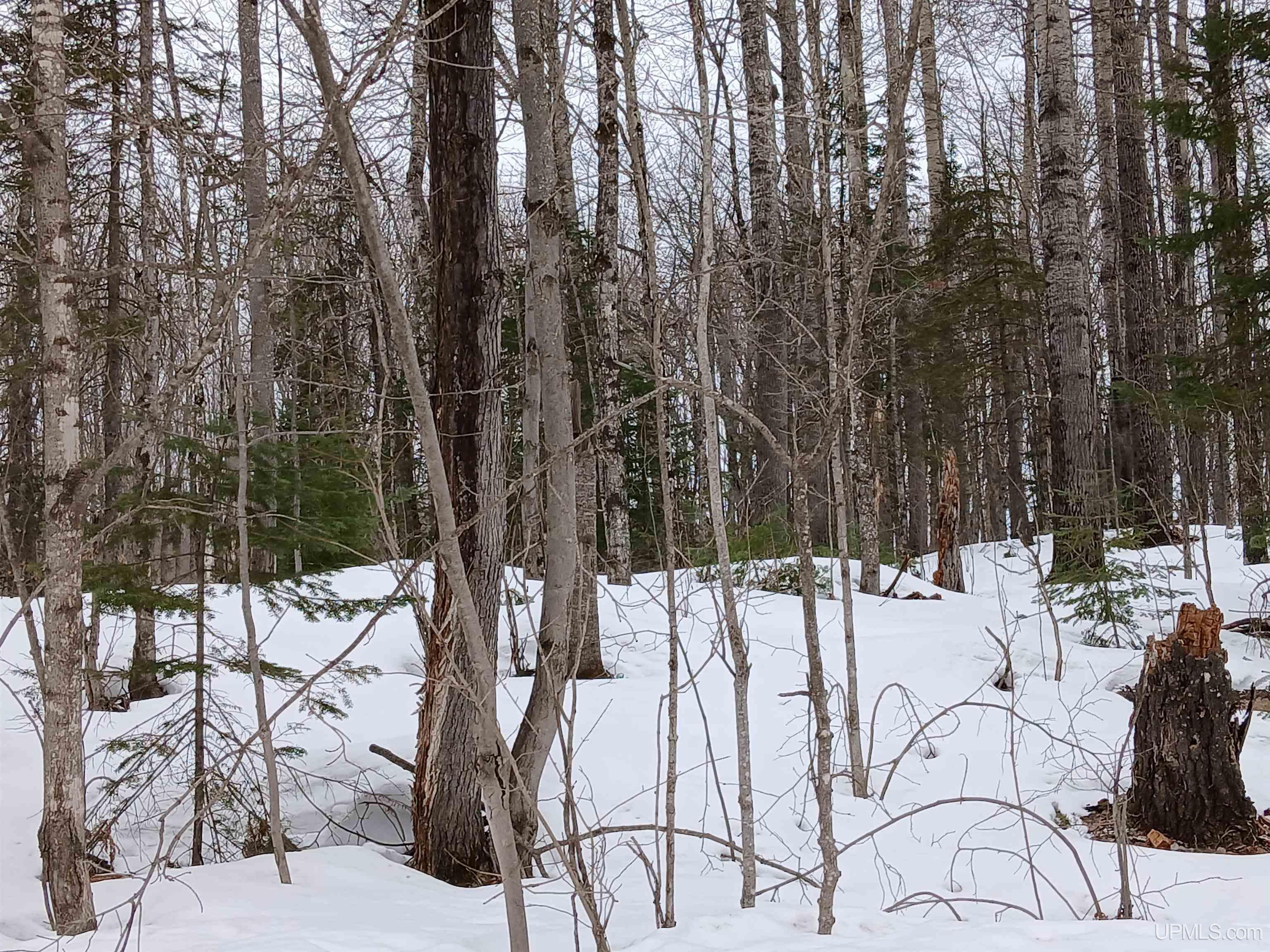 Lot 1 County Line Lake Crossroad, Watersmeet, MI, 49969