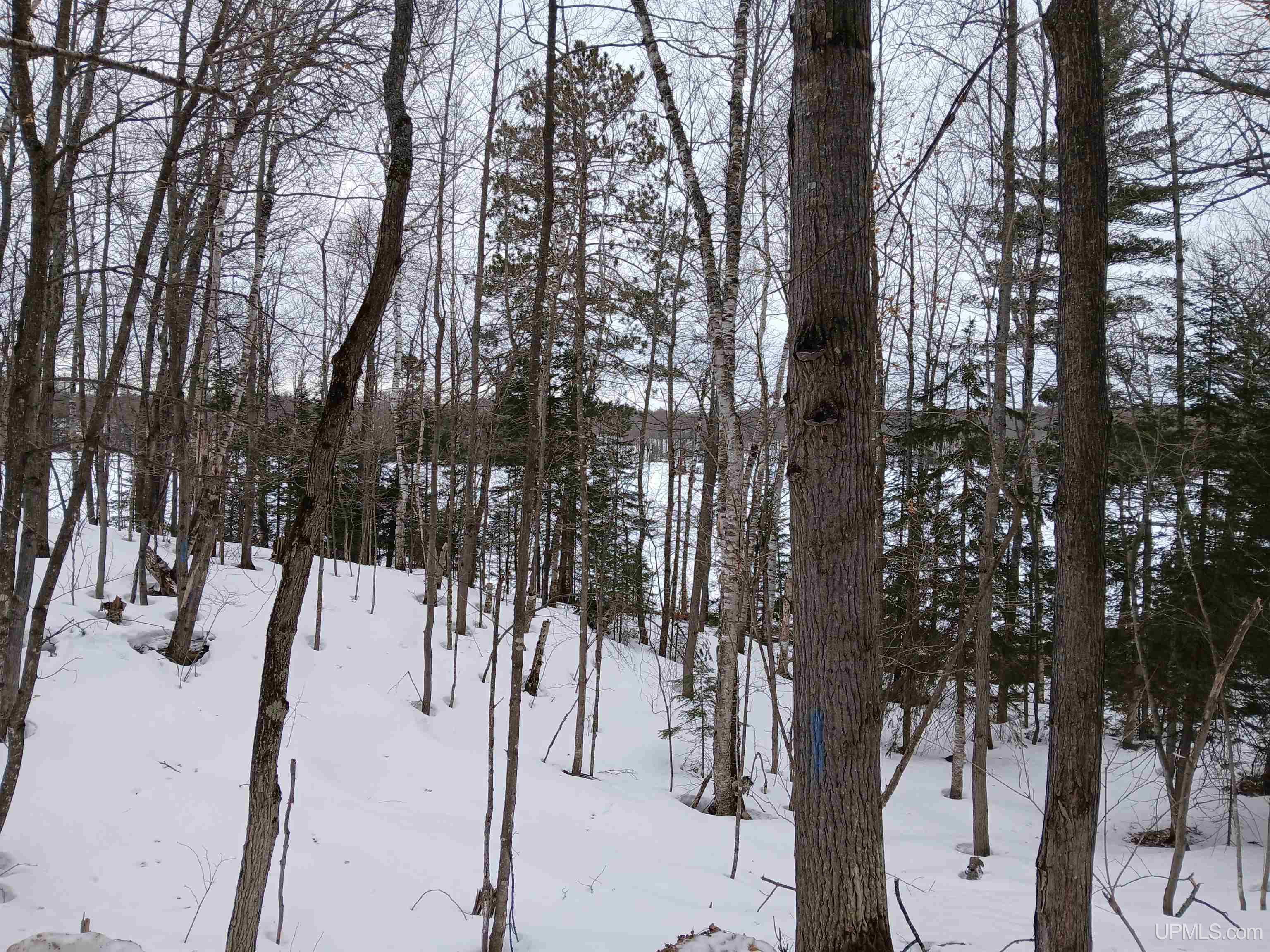 Lot 1 County Line Lake Crossroad, Watersmeet, MI, 49969