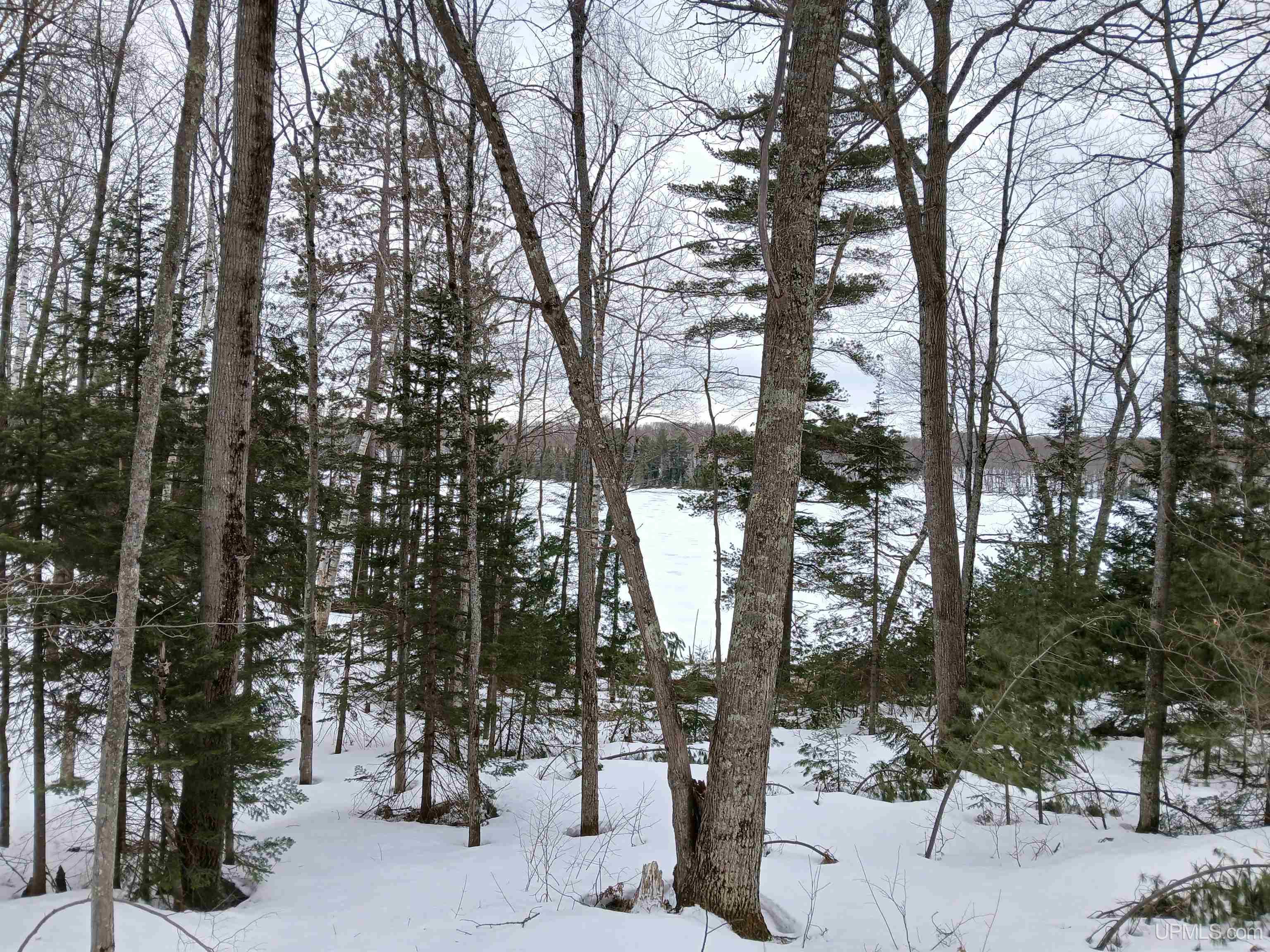 Lot 1 County Line Lake Crossroad, Watersmeet, MI, 49969