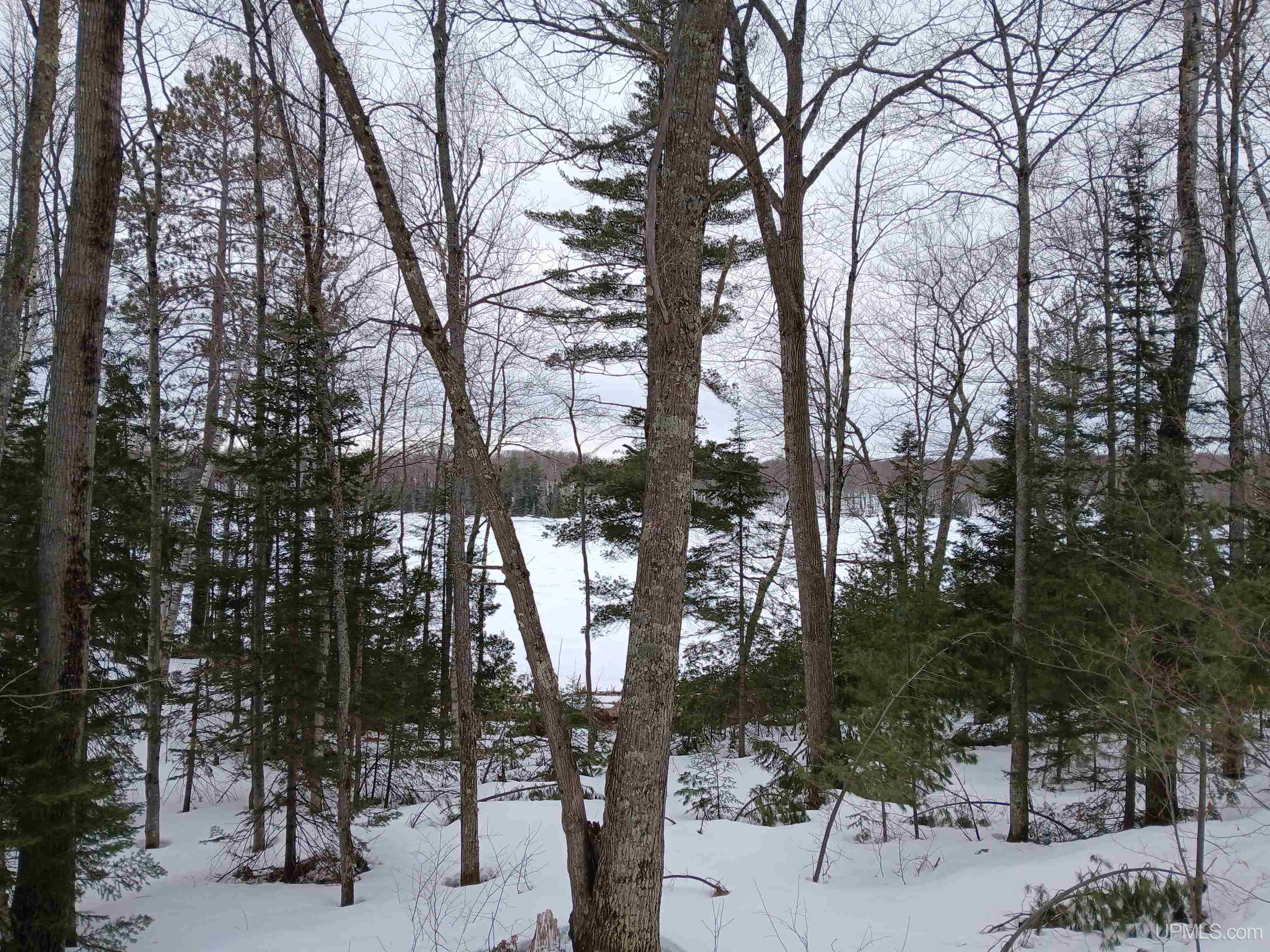 Lot 1 County Line Lake Crossroad, Watersmeet, MI, 49969