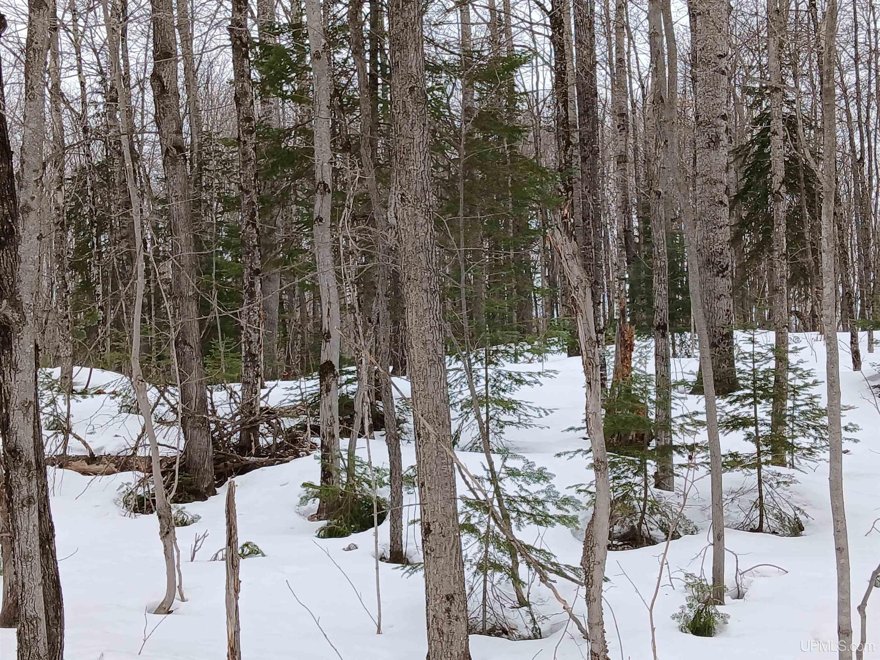 Lot 1 County Line Lake Crossroad, Watersmeet, MI, 49969