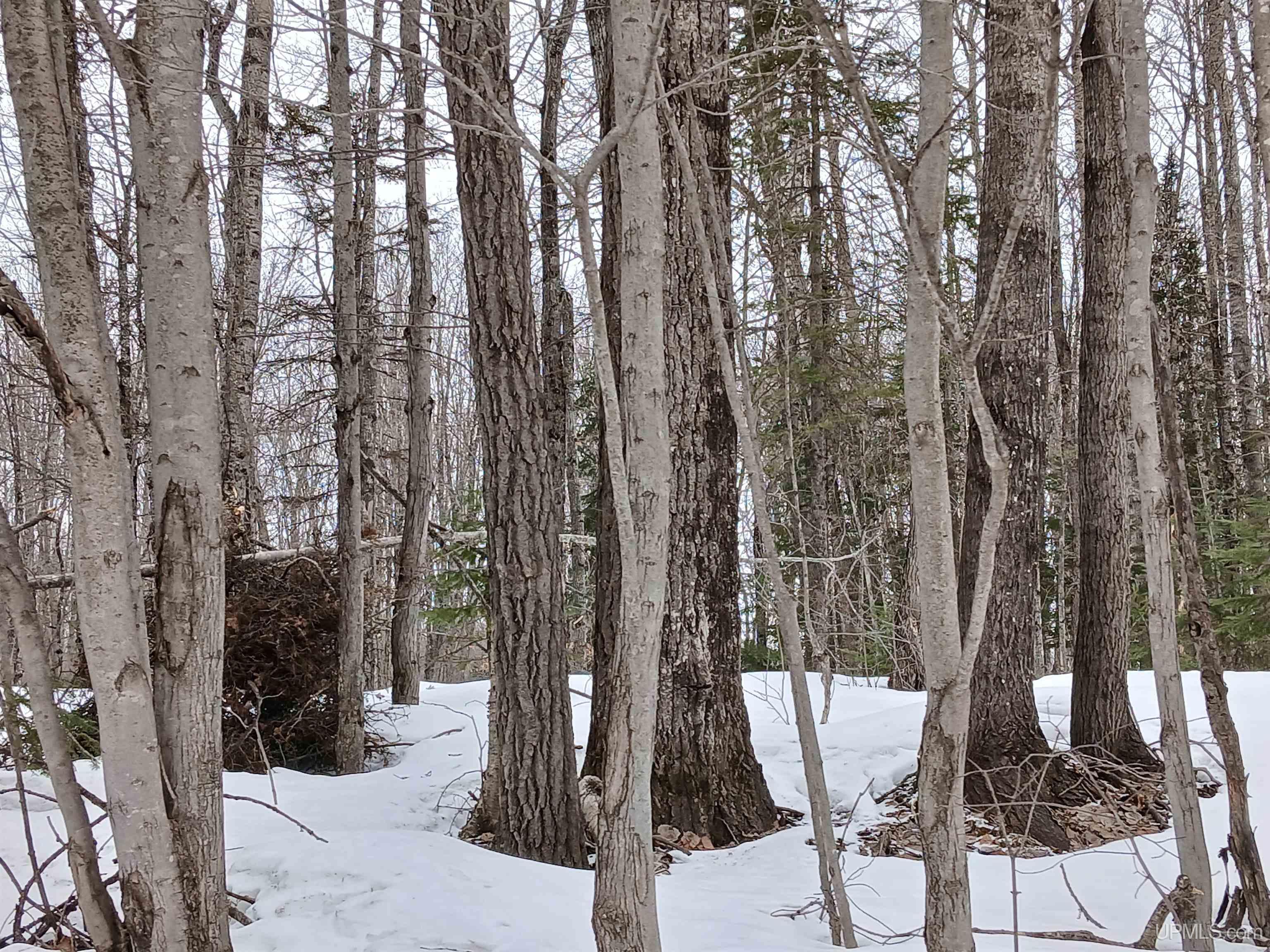 Lot 1 County Line Lake Crossroad, Watersmeet, MI, 49969