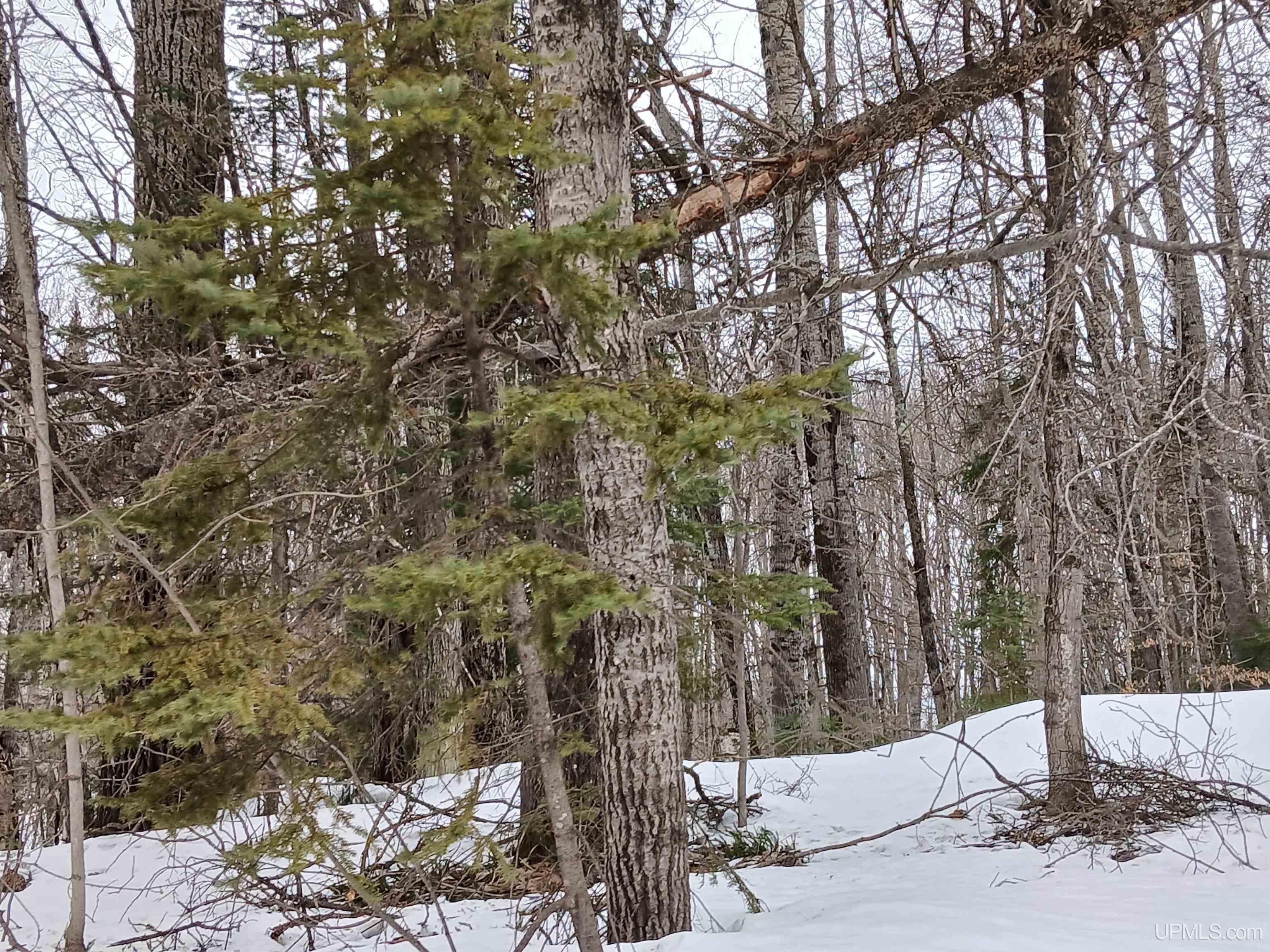 Lot 1 County Line Lake Crossroad, Watersmeet, MI, 49969