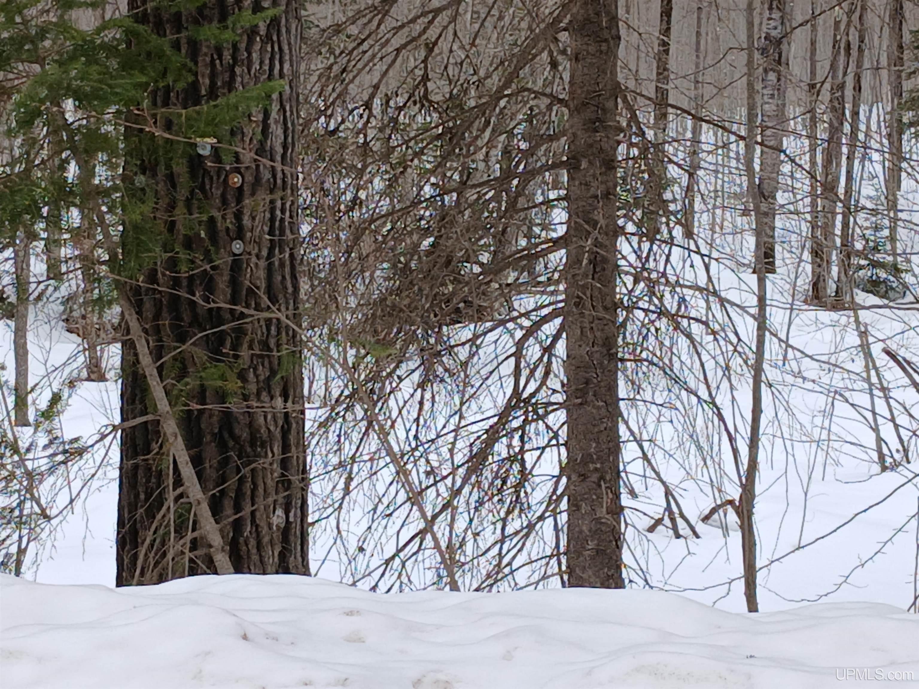 Lot 1 County Line Lake Crossroad, Watersmeet, MI, 49969