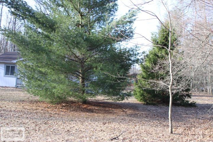 6352 White Acre Road, Lake, MI 48632 — Photo 5