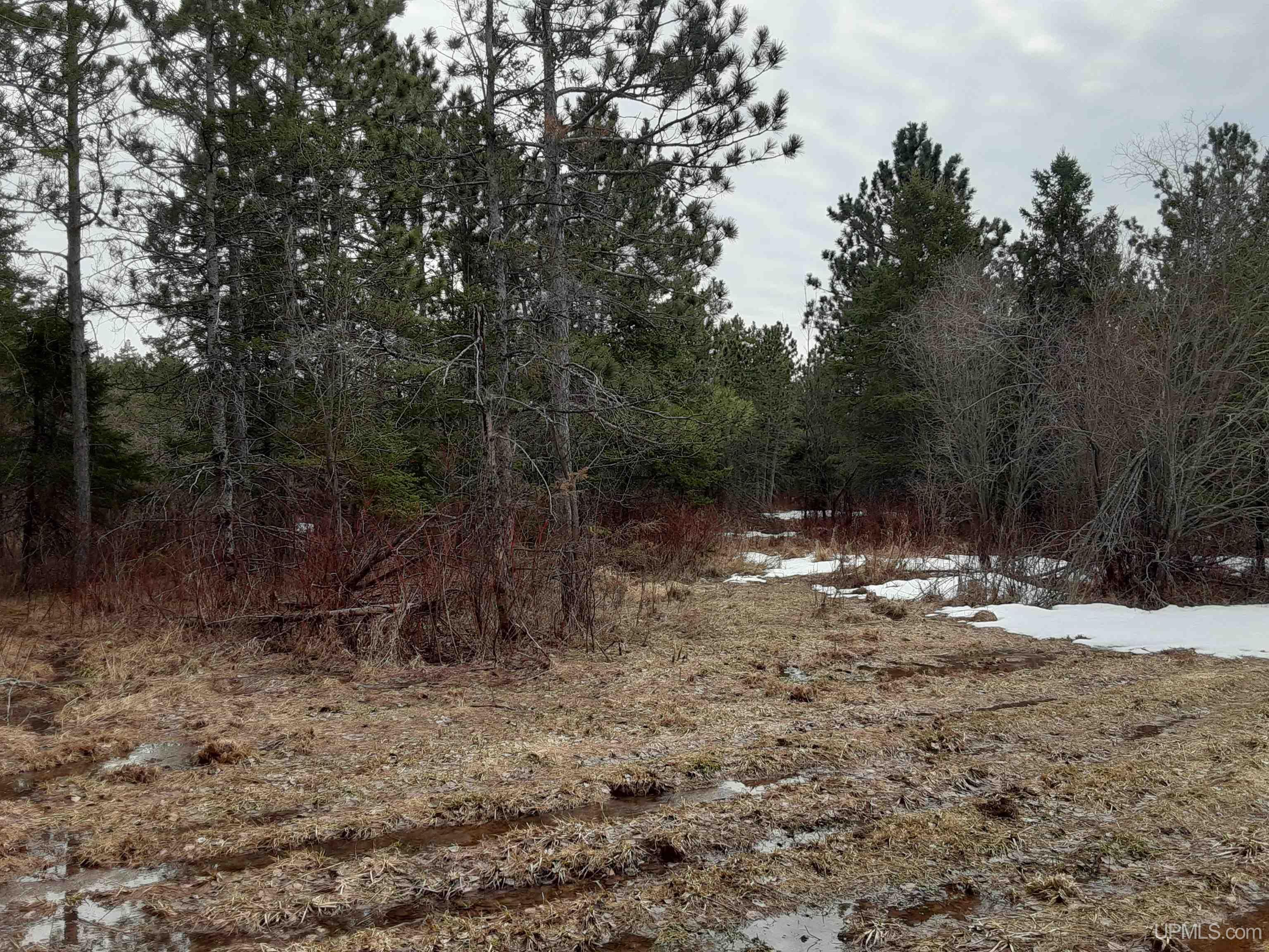 39749 Davis Road, Highbridge-wi, WI, 54846