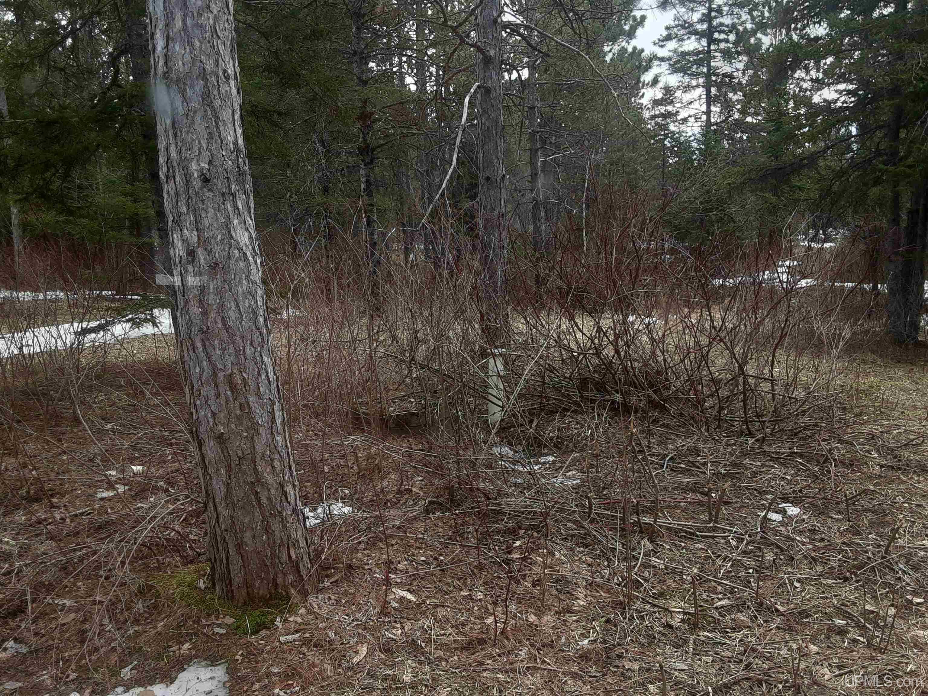 39749 Davis Road, Highbridge-wi, WI, 54846