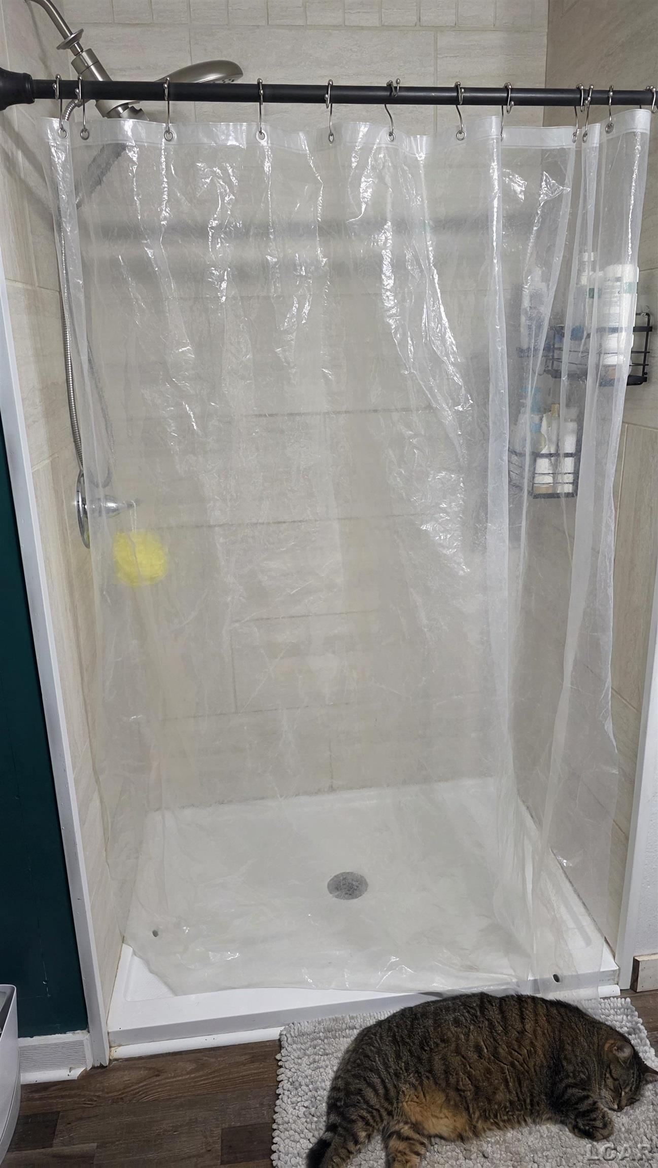 213 W Congress Street, Morenci, MI, 49256