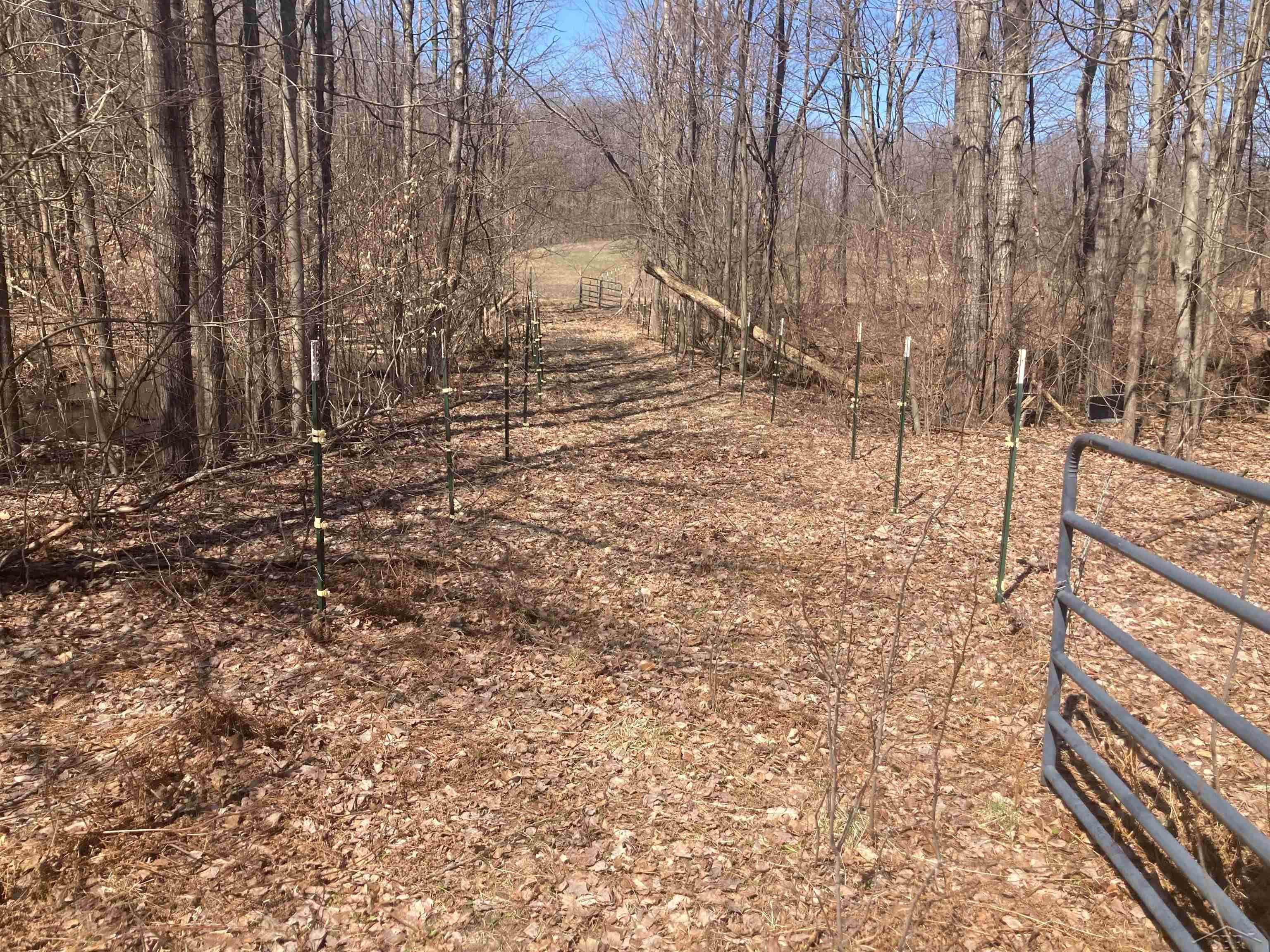 8353 W 12 Mile Road, Walkerville, MI, 49459